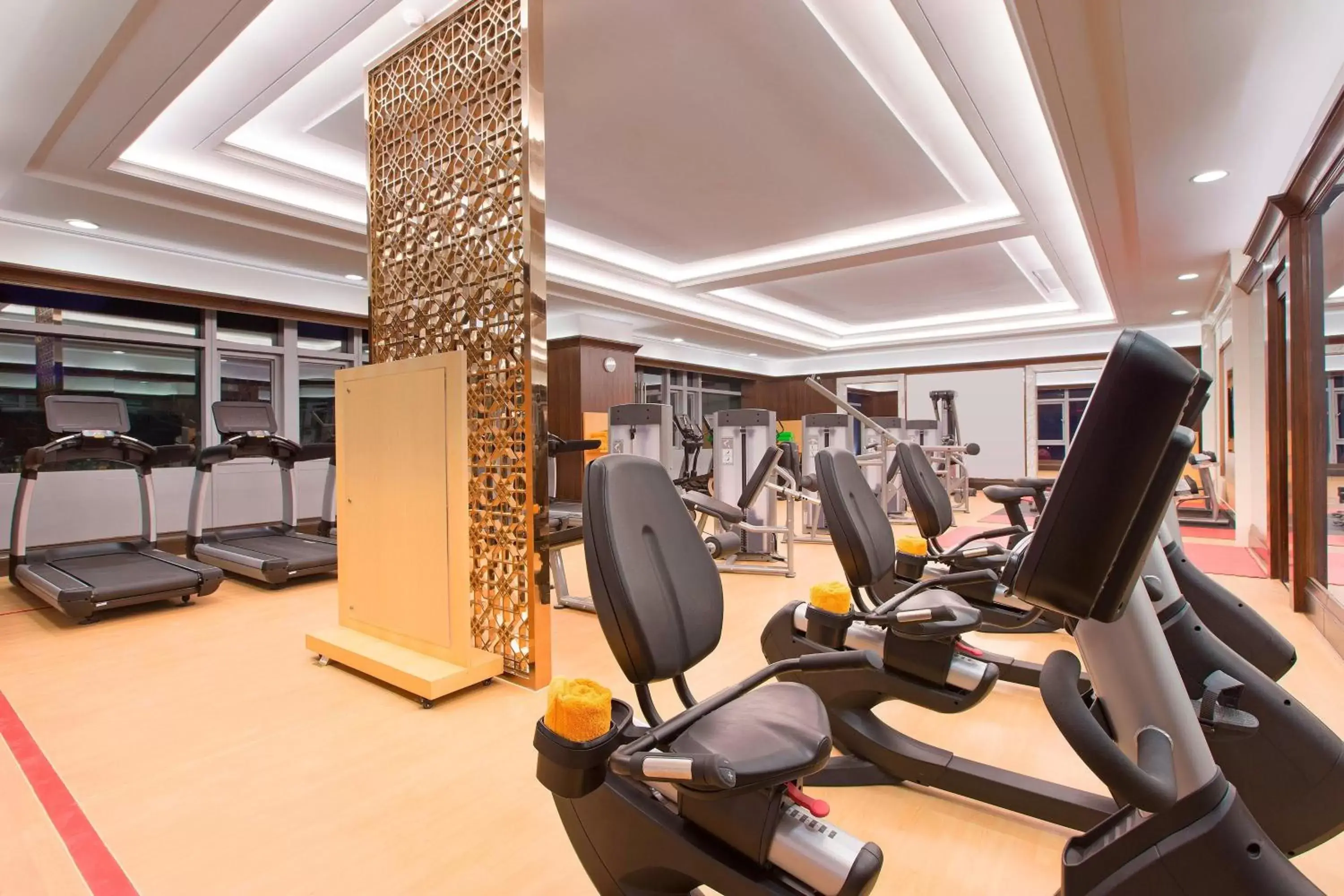 Fitness centre/facilities, Fitness Center/Facilities in Sheraton Grand Wuhan Hankou Hotel - Let's take a look at the moment of Wuhan