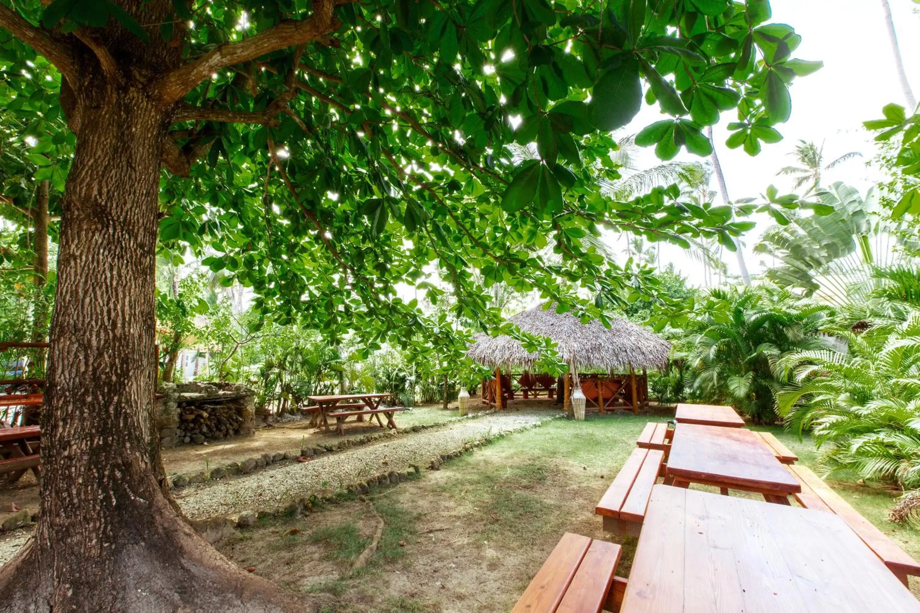 Garden view in AVENTURA VILLAGE LOS CORALES BEACH and SPA