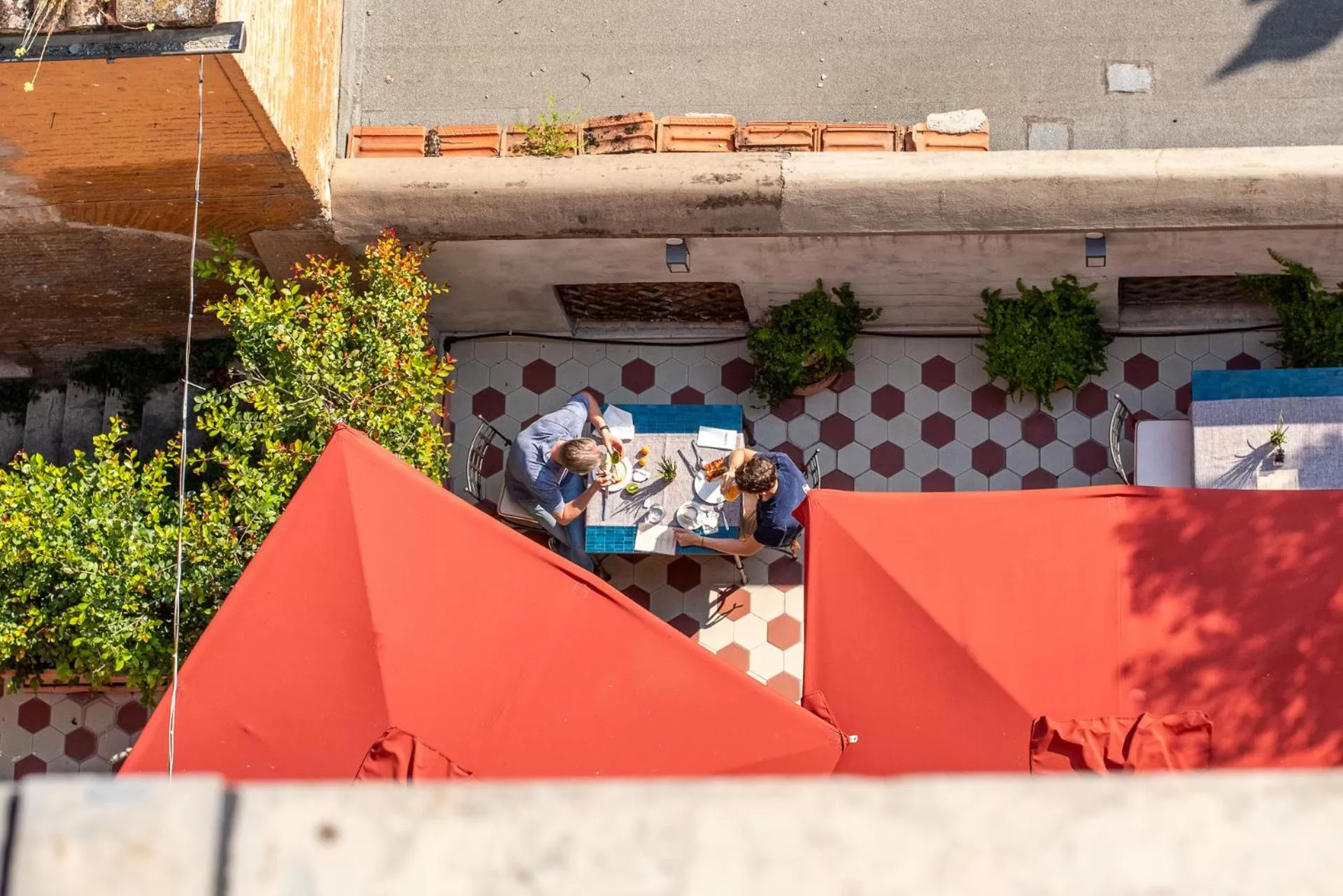 Garden in Sentho Roma