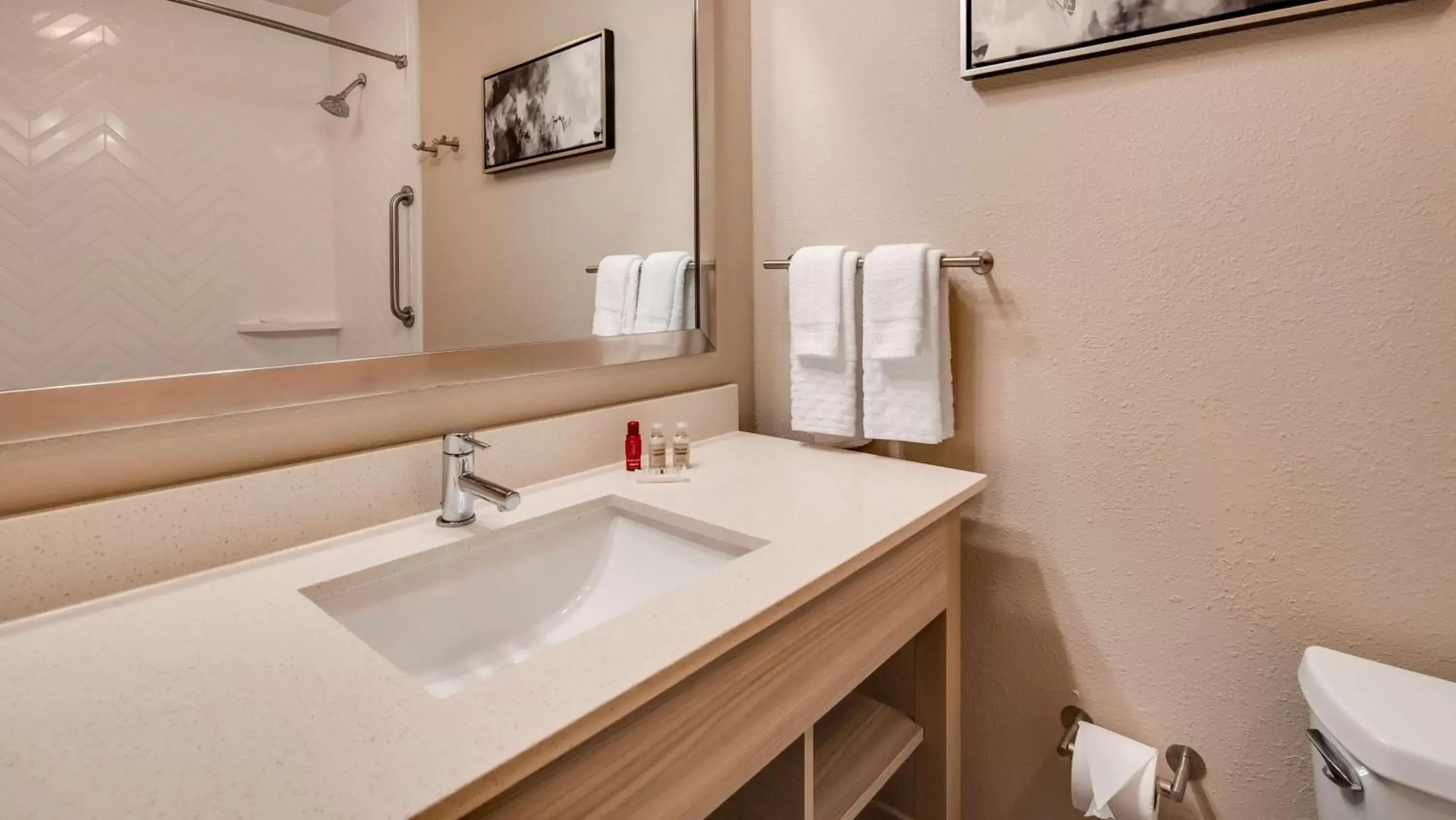 Bathroom in Best Western Premier I-95 Savannah Airport/ Pooler West