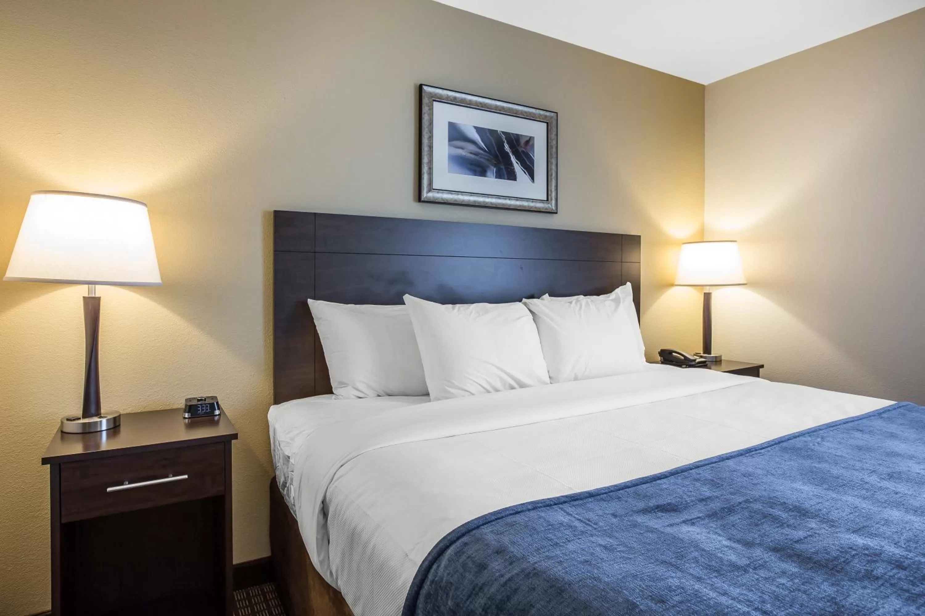 Bed in MainStay Suites Cartersville