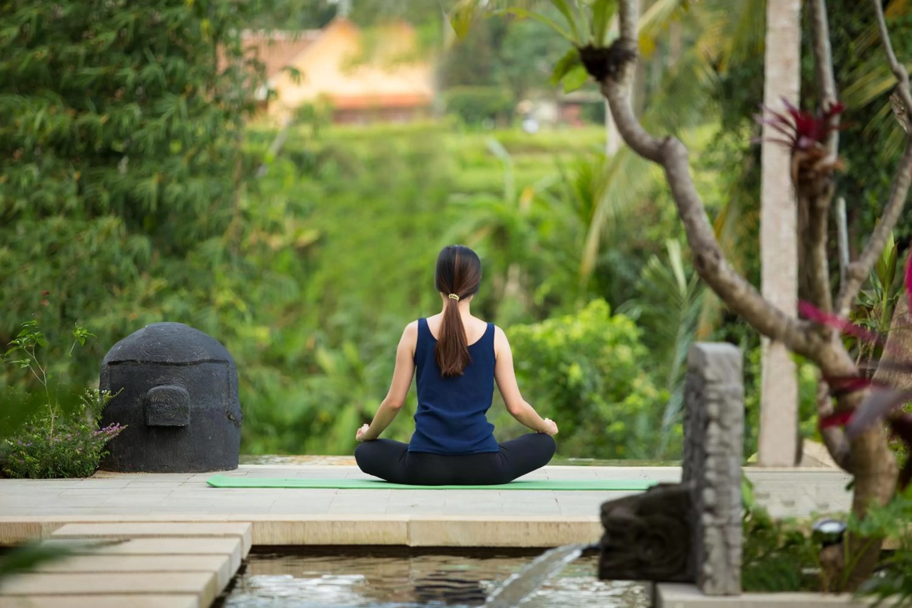 Natural landscape in Dwaraka The Royal Villas