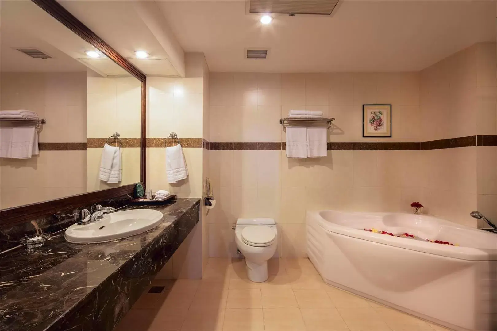 Bath, Bathroom in Sai Gon Quang Binh Hotel