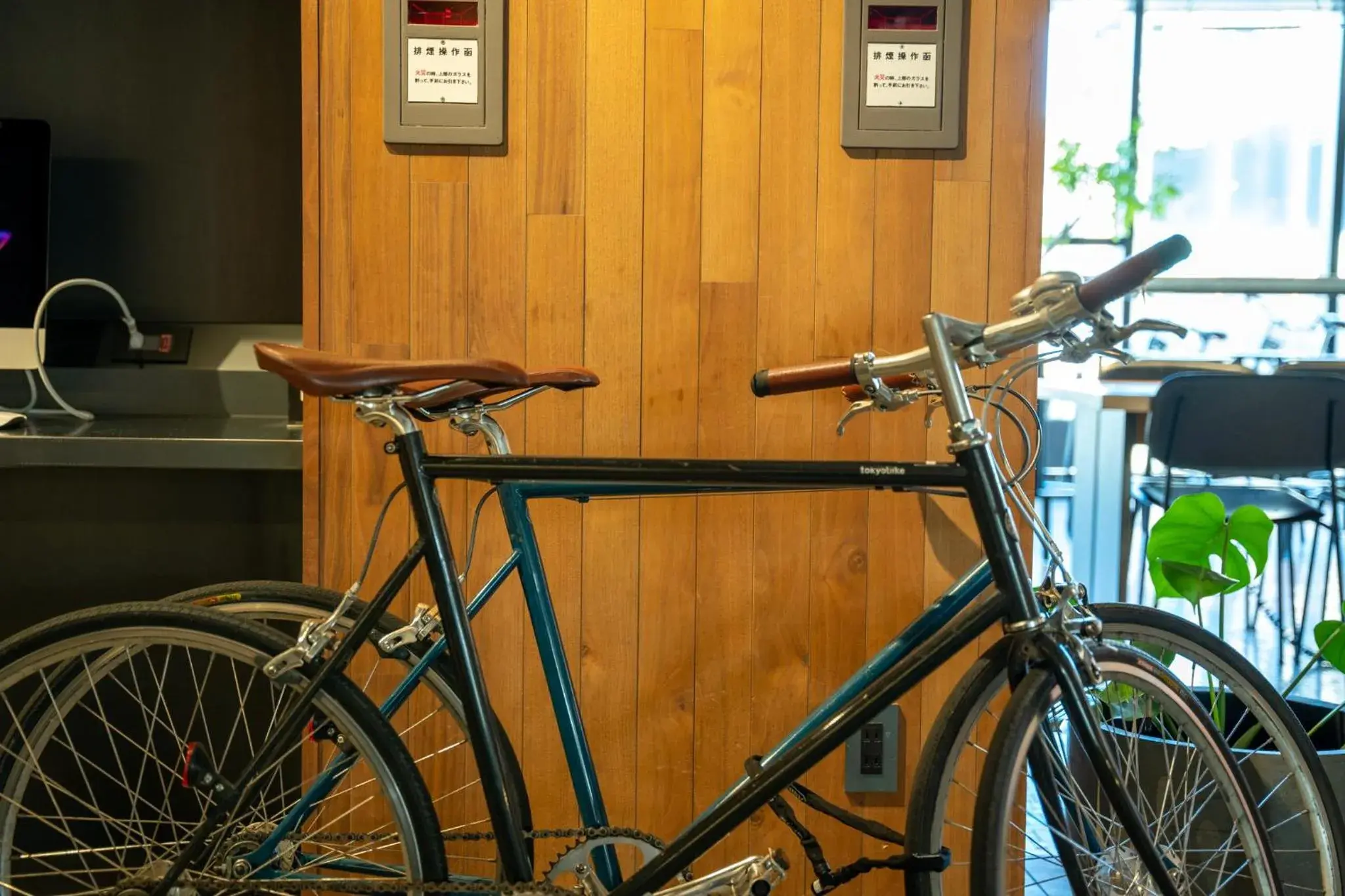 Cycling, Biking in The Millennials Kyoto