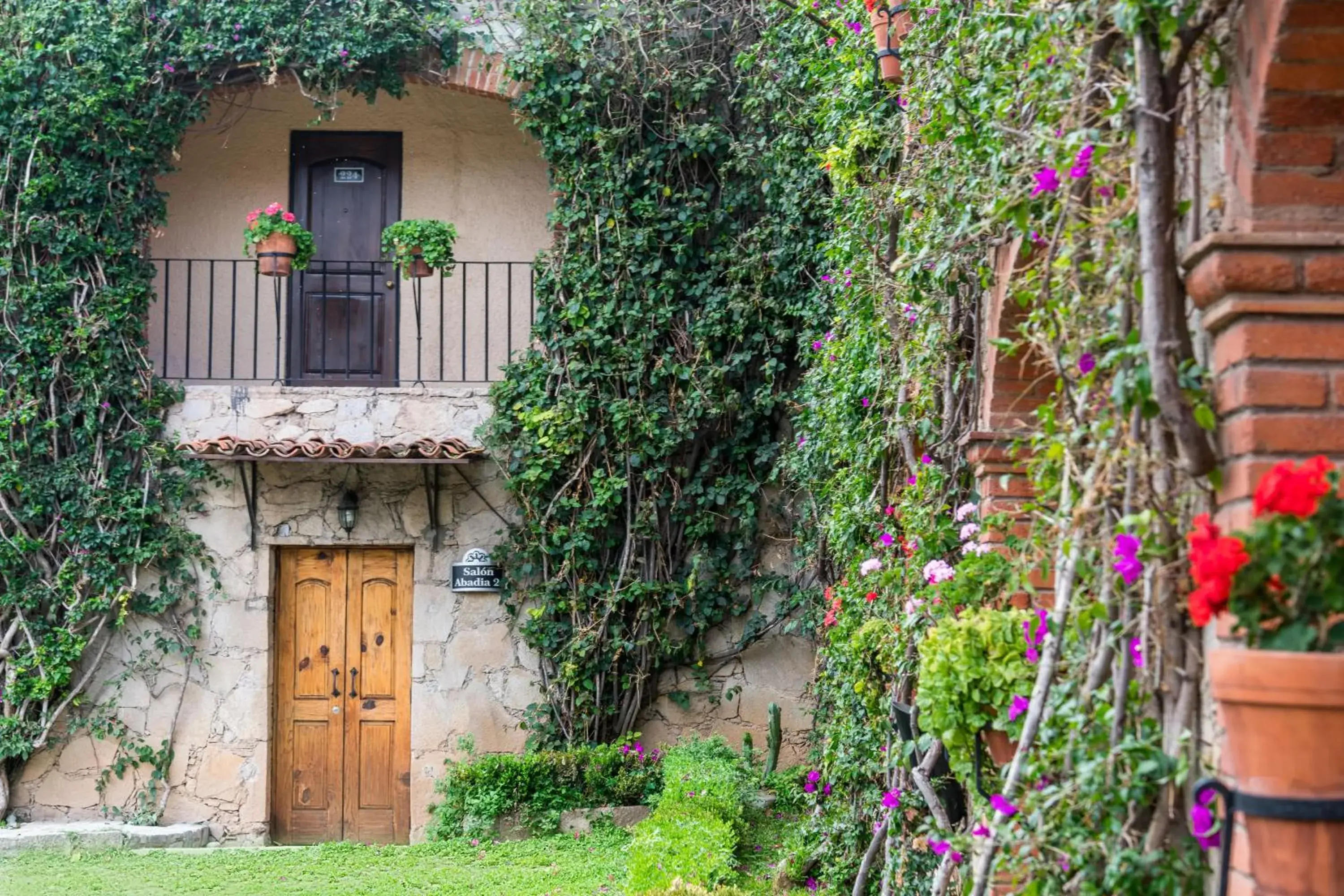 Garden in Hotel Abadia Plaza