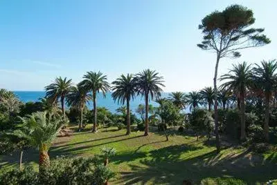 Garden in Hotel L'Isola