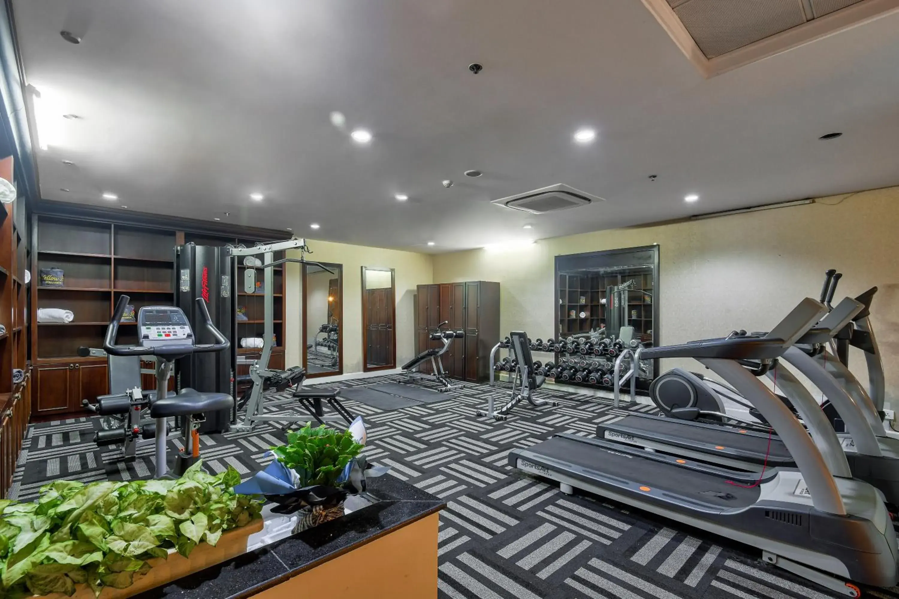 Fitness centre/facilities, Fitness Center/Facilities in La Sapinette Hotel