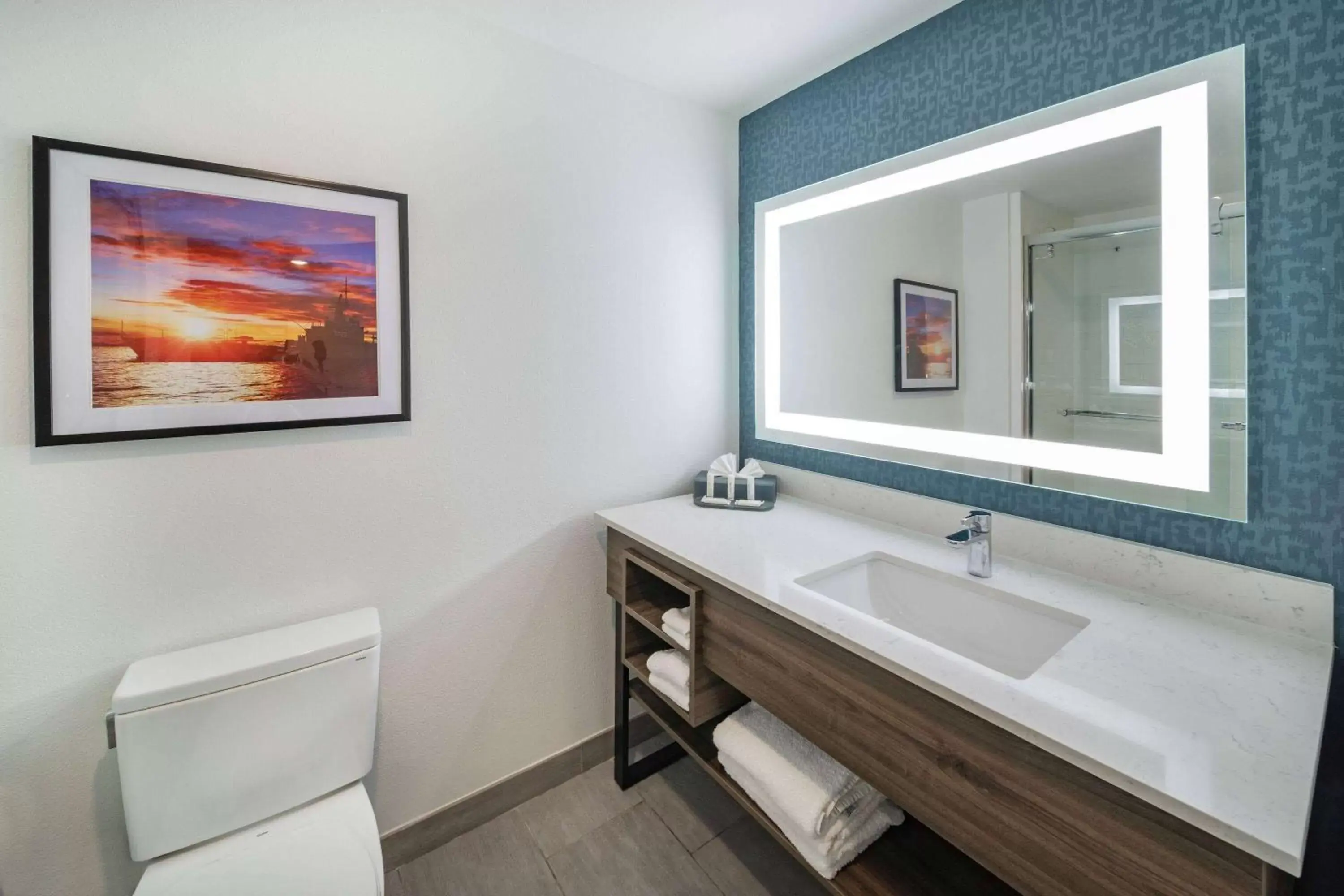 Shower, Bathroom in La Quinta Inn & Suites by Wyndham Texas City I 45