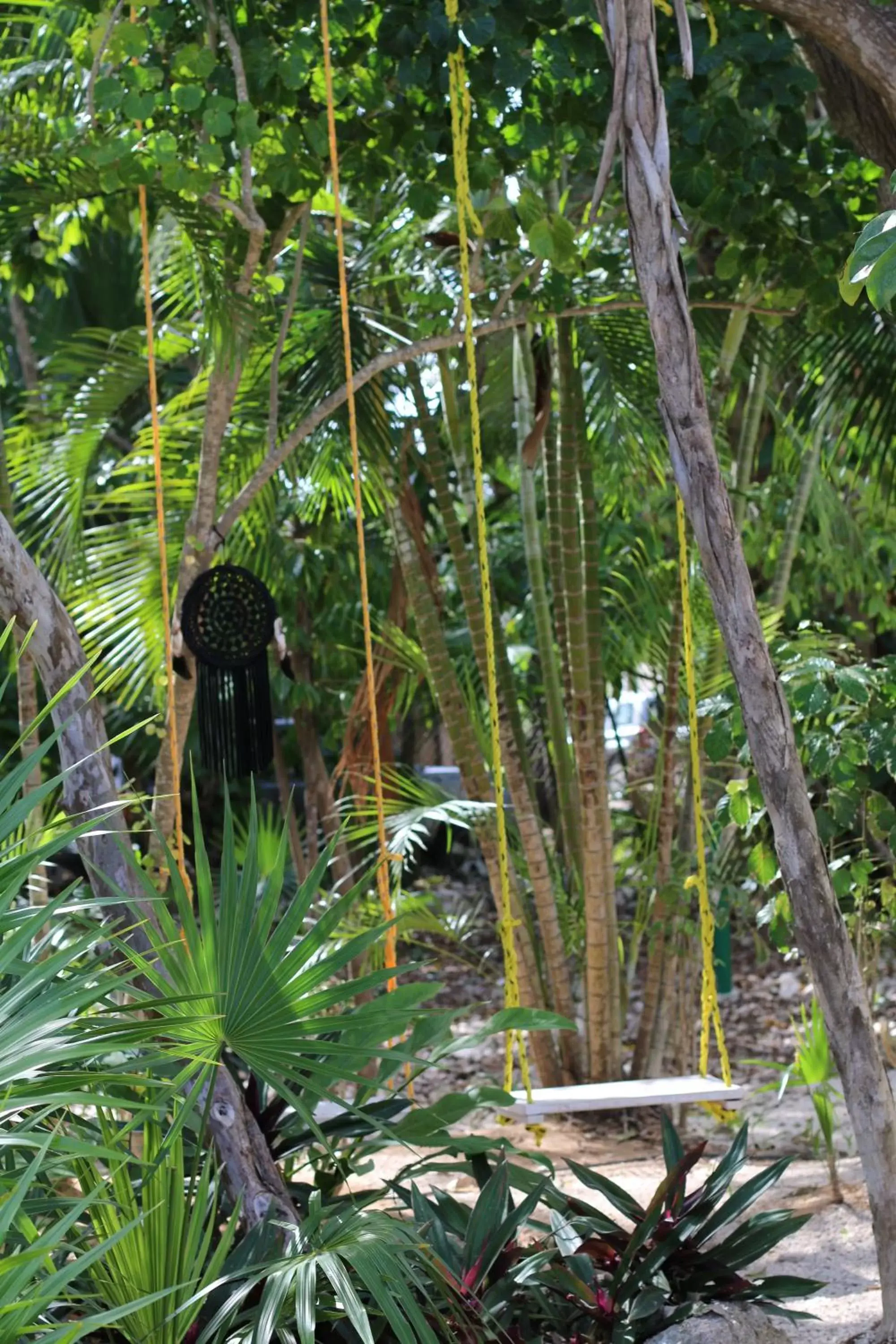 Natural landscape in WishTulum