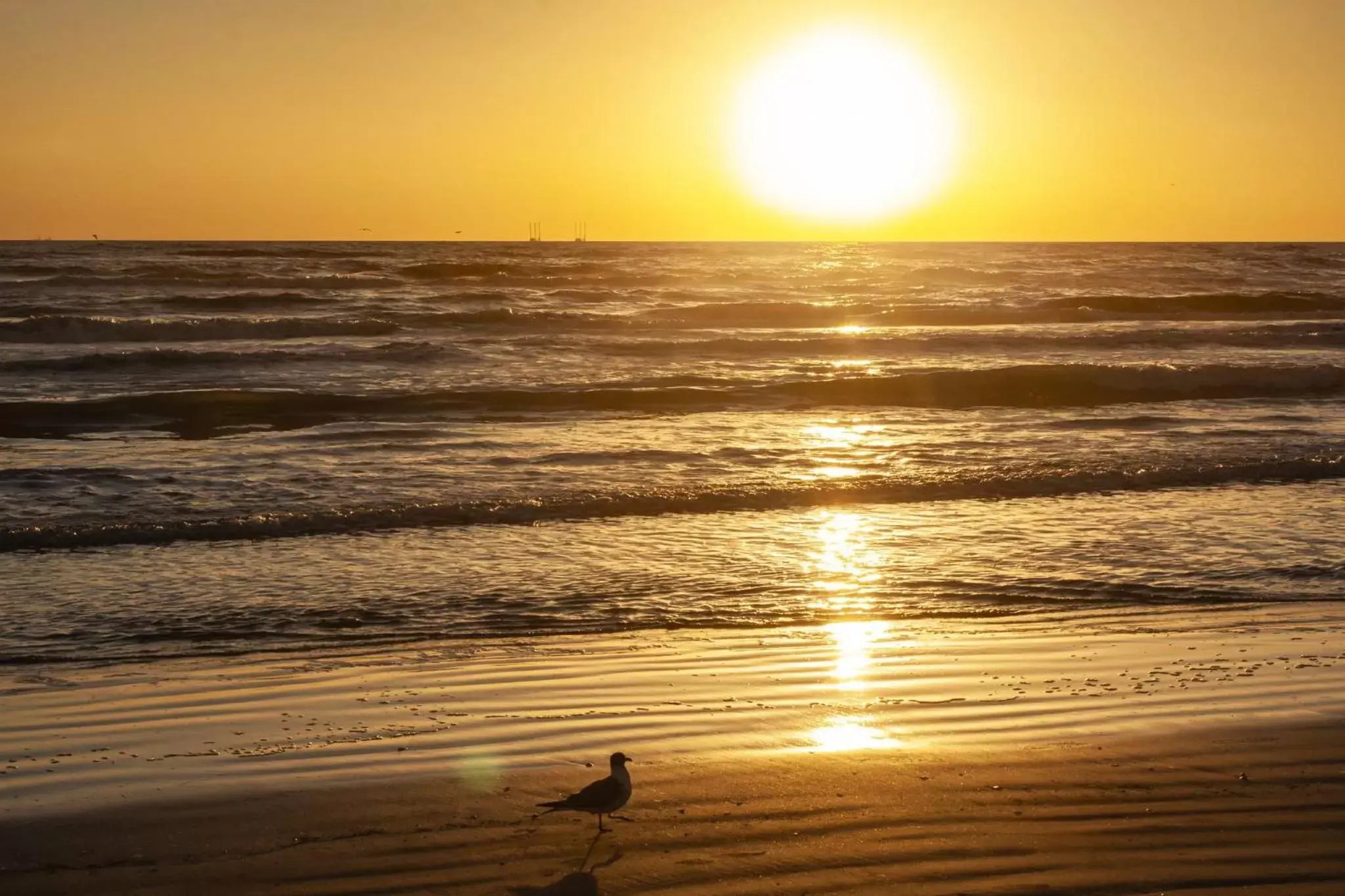 Property building, Sunrise/Sunset in Holiday Inn Resort South Padre Island-Beach Front, an IHG Hotel