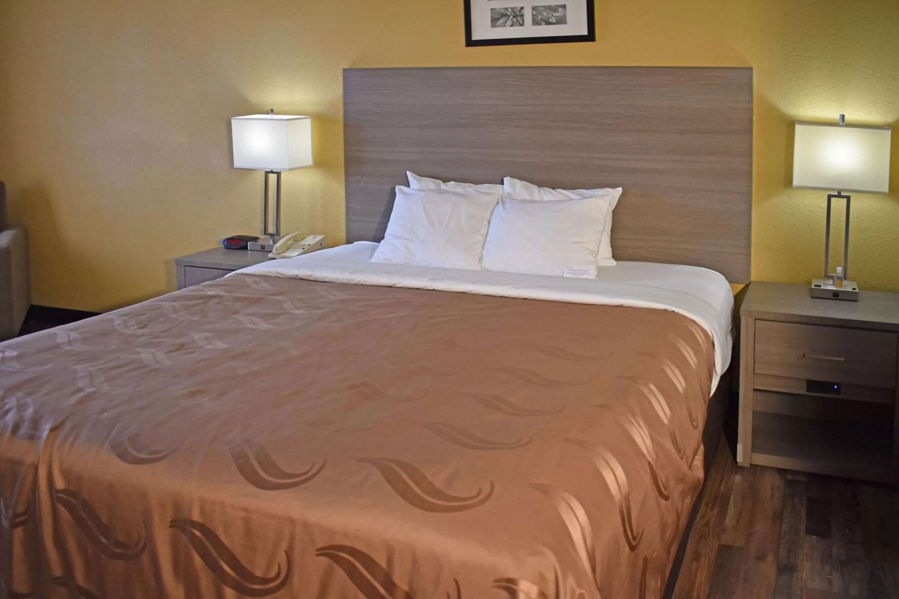 King Room with Roll-In Shower - Accessible/Non Smoking in Quality Suites Martinsburg