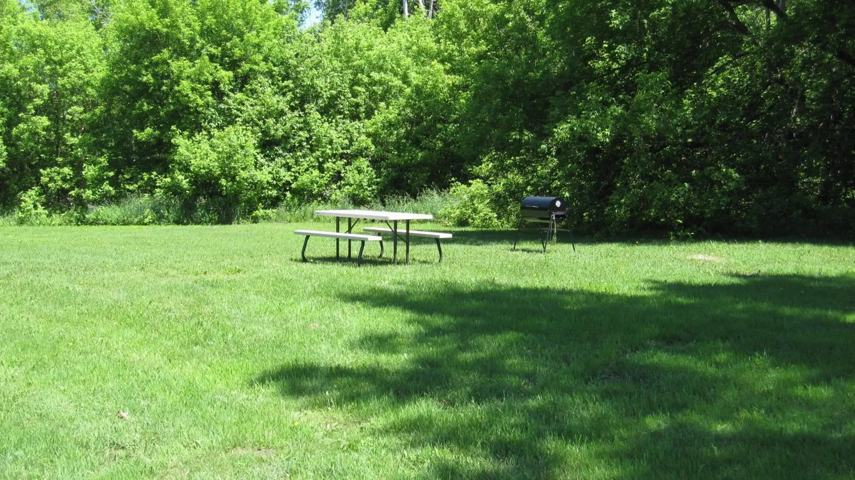 BBQ facilities, Garden in Wellington Inn