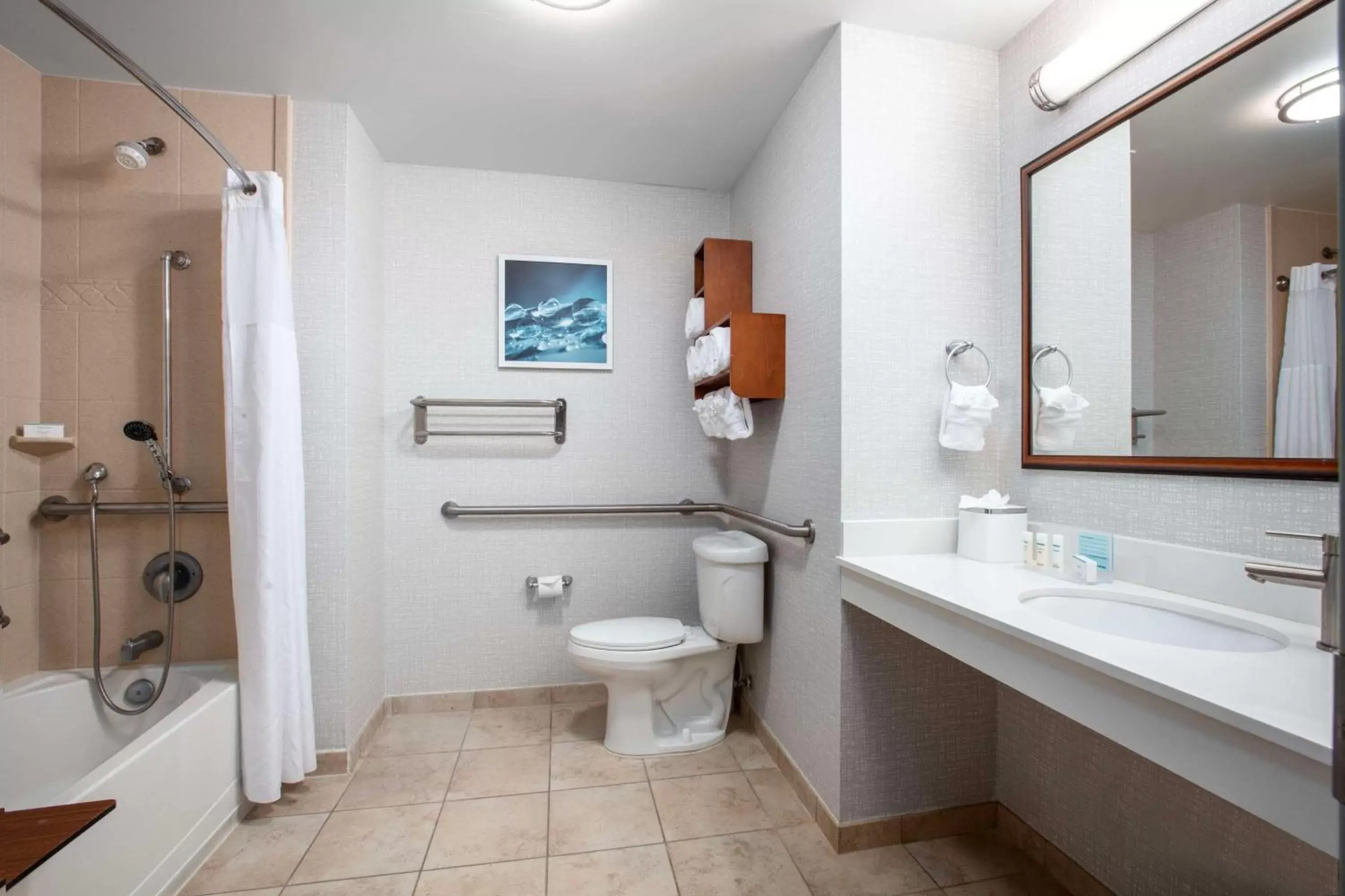 Bathroom in Hampton Inn & Suites Homestead Miami South