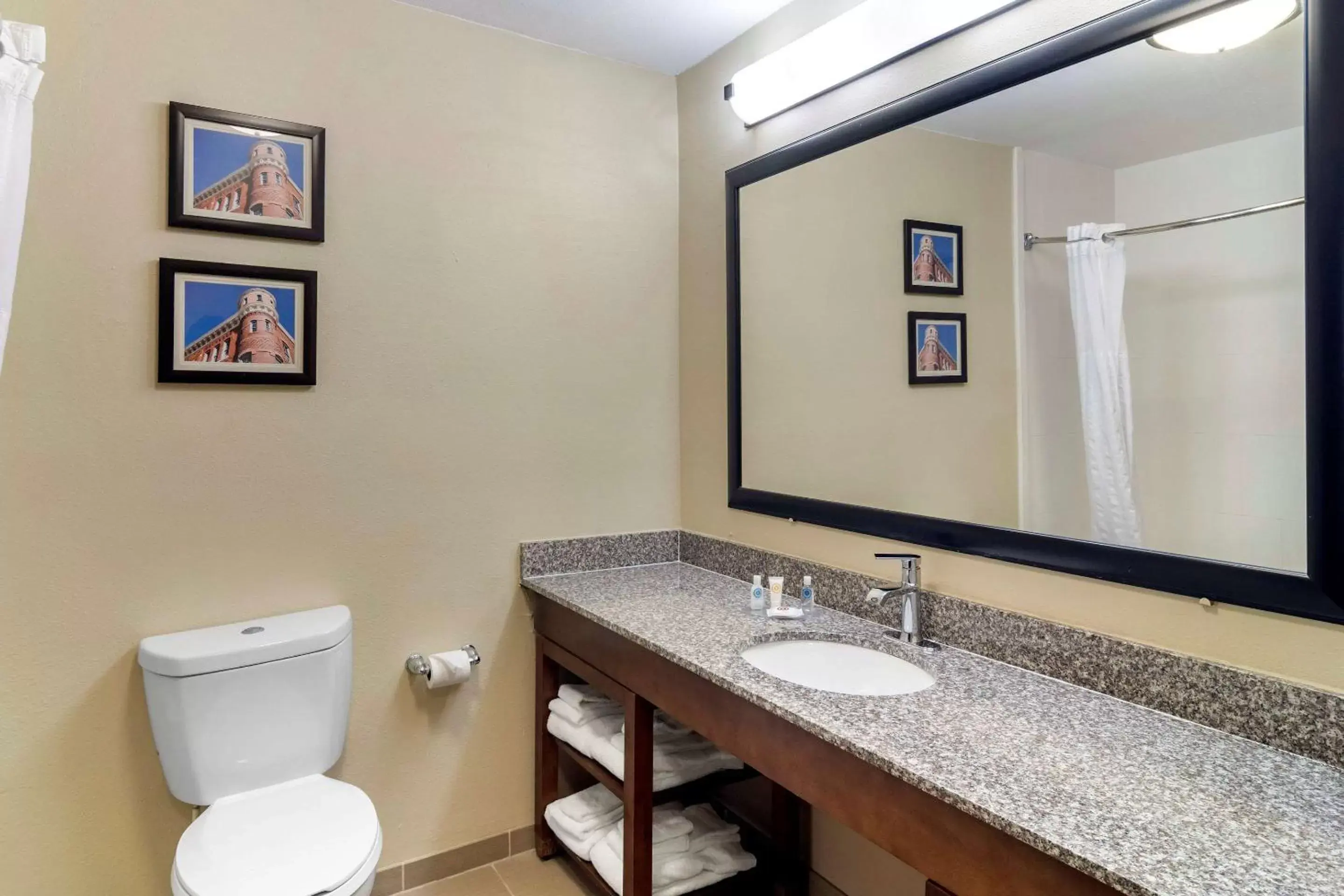 Bathroom in Comfort Inn & Suites Macon North I-75