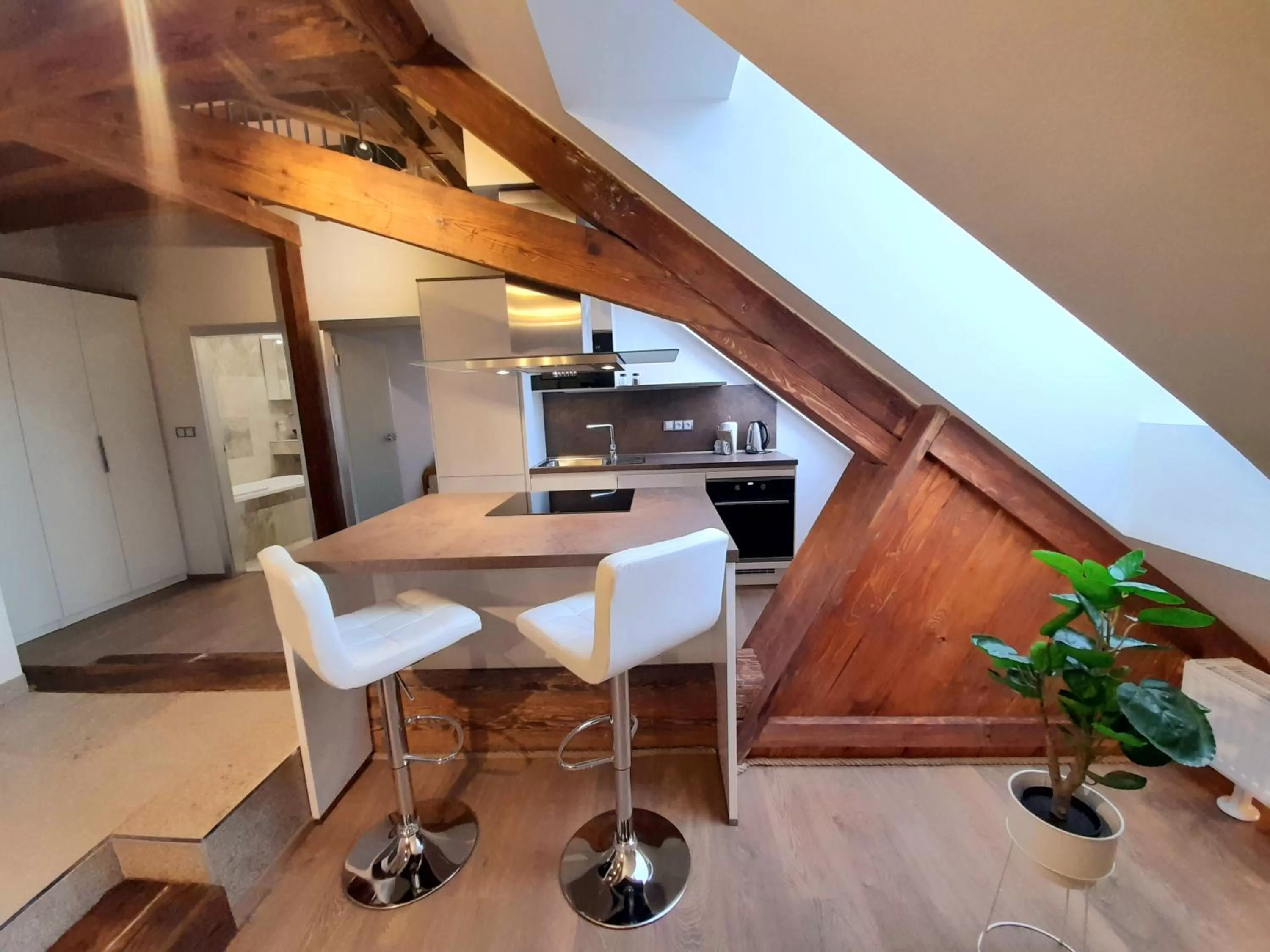 Kitchen or kitchenette in Residence Mariánská