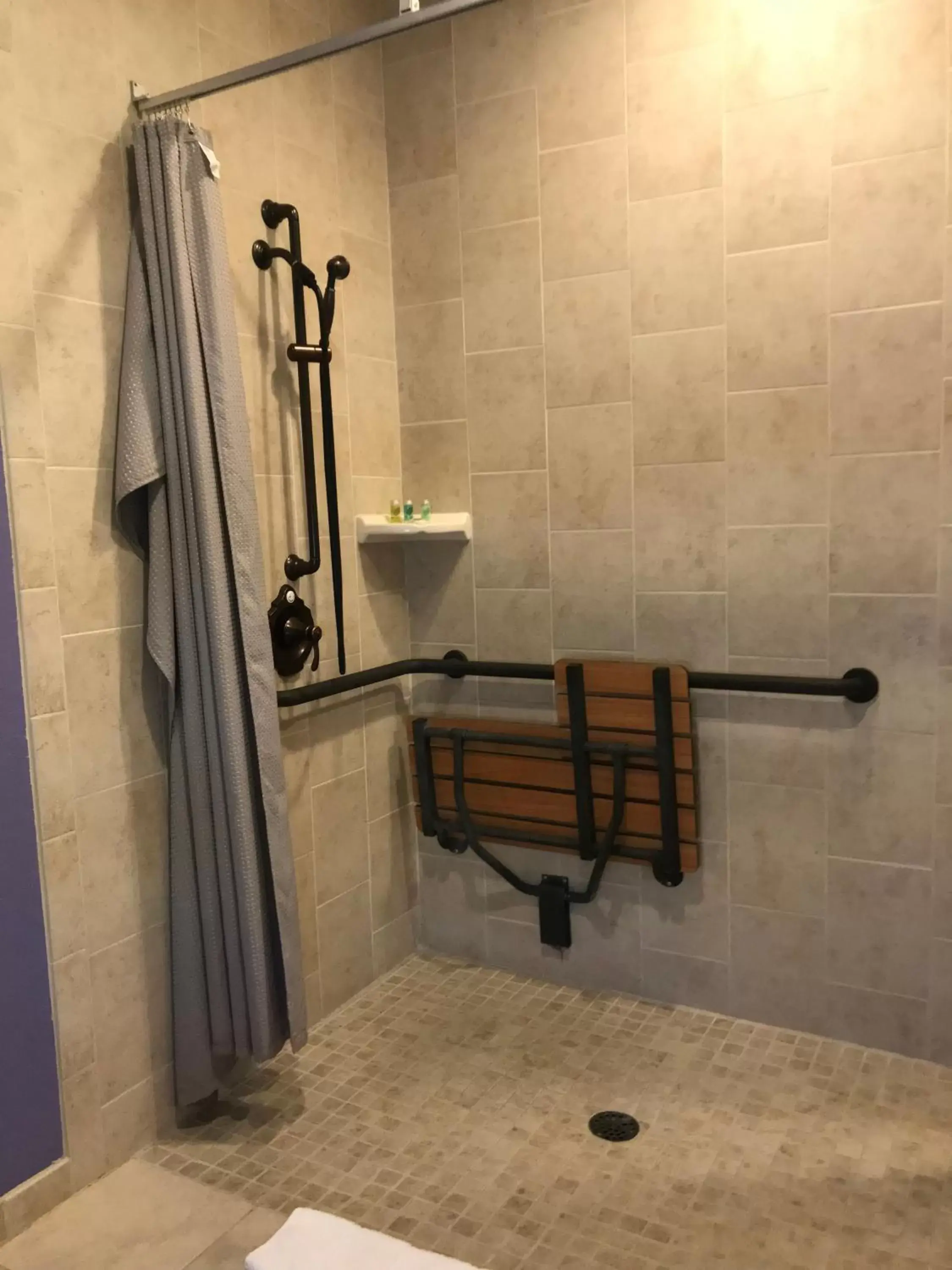 Shower, Bathroom in Hotel Sutter