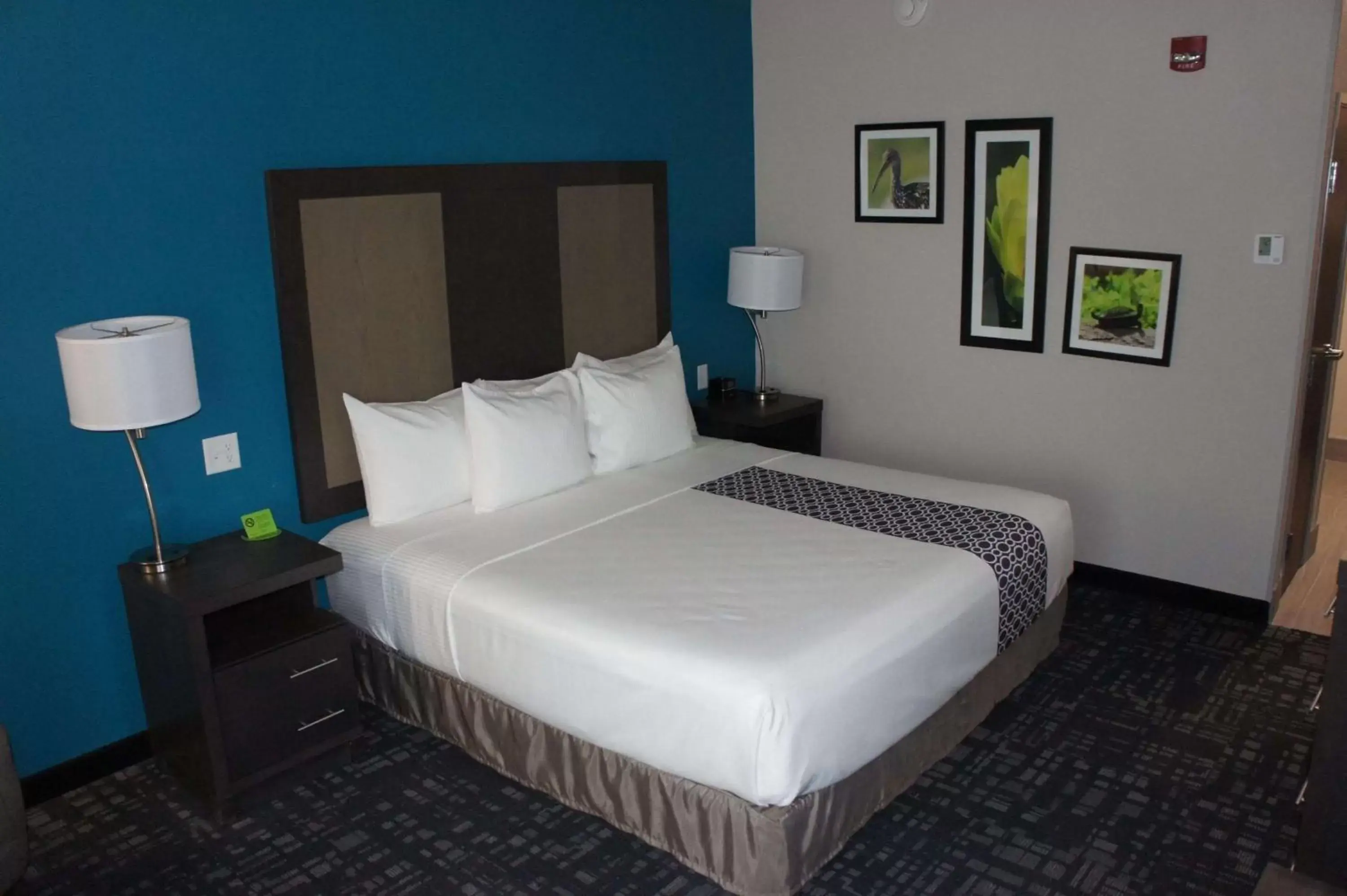King Room - Mobility Access/Non-Smoking in La Quinta by Wyndham Gainesville