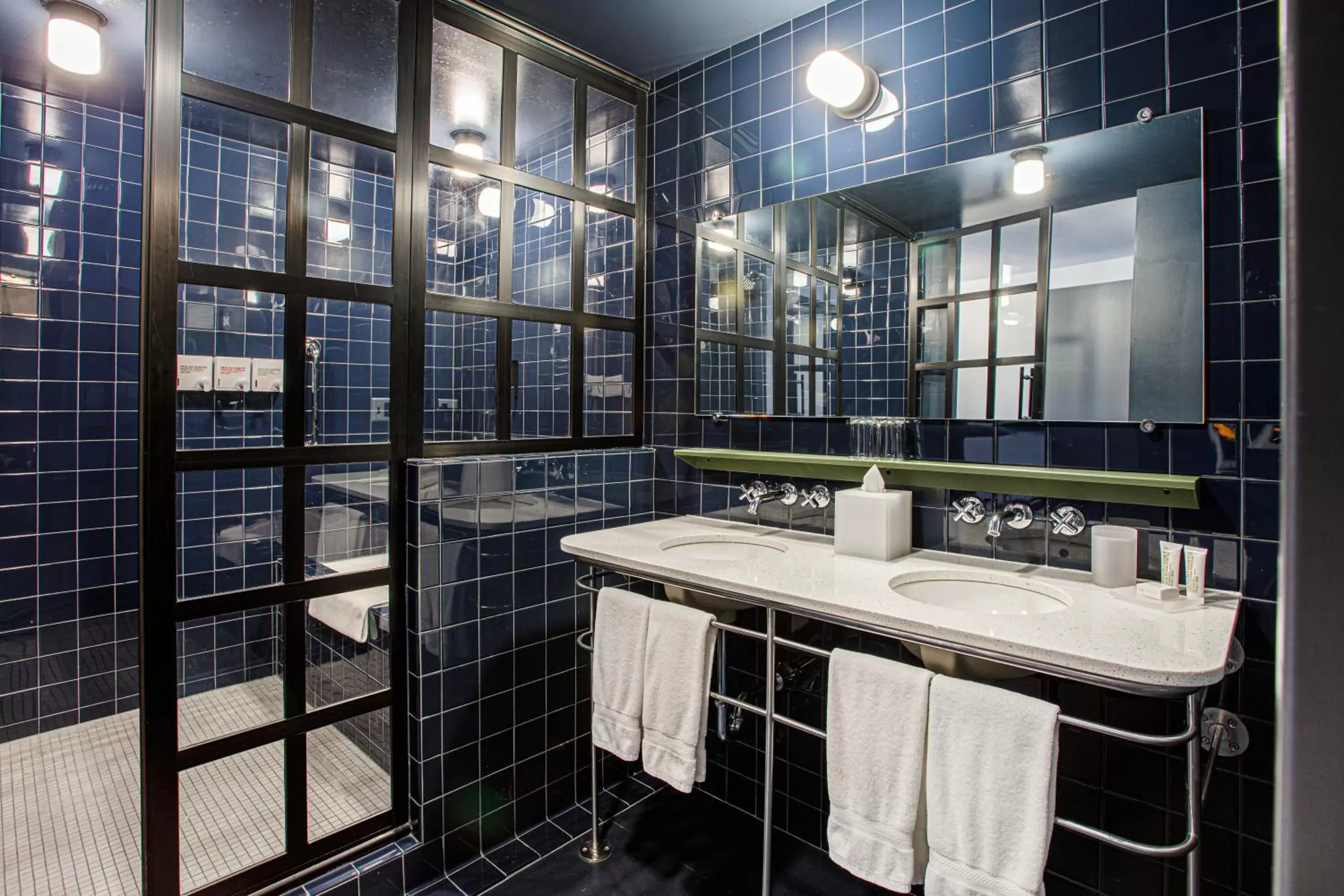 Shower, Bathroom in The Emily Hotel