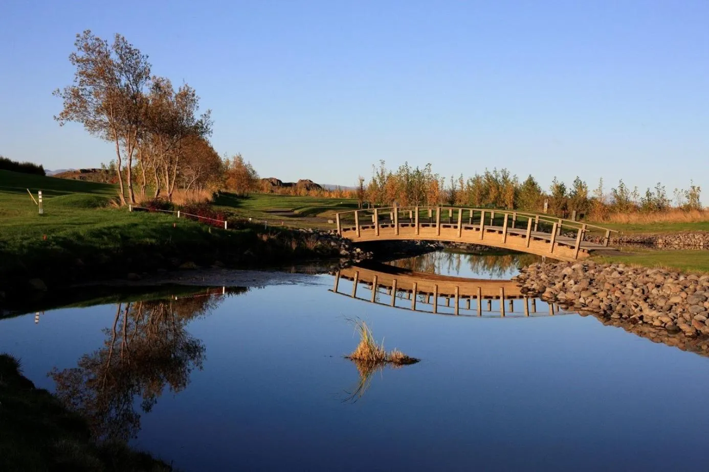 Garden in Hotel Hamar