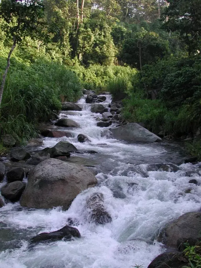 Activities, Natural Landscape in Argovia Finca Resort