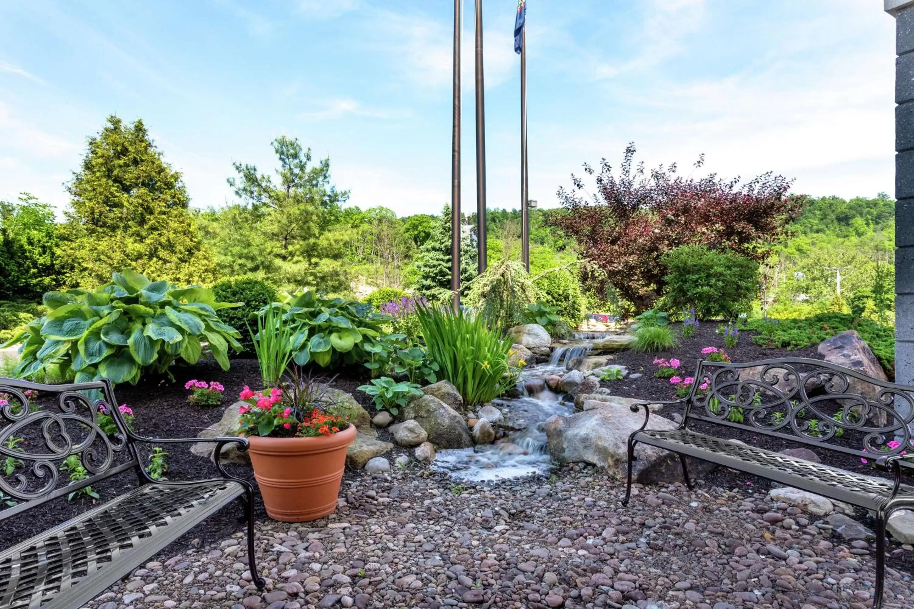 Garden in Hampton Inn Bedford Garden in Hampton Inn Bedford