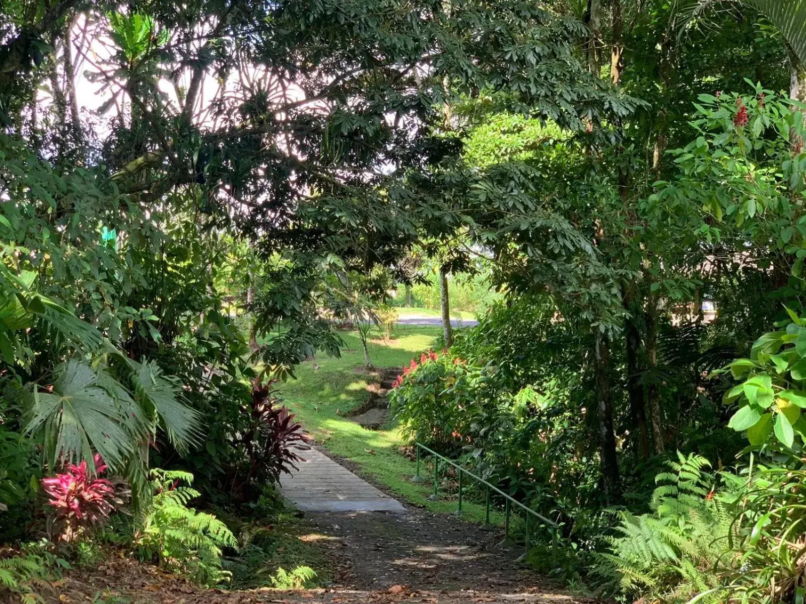 Garden view, Garden in Confort Arenal