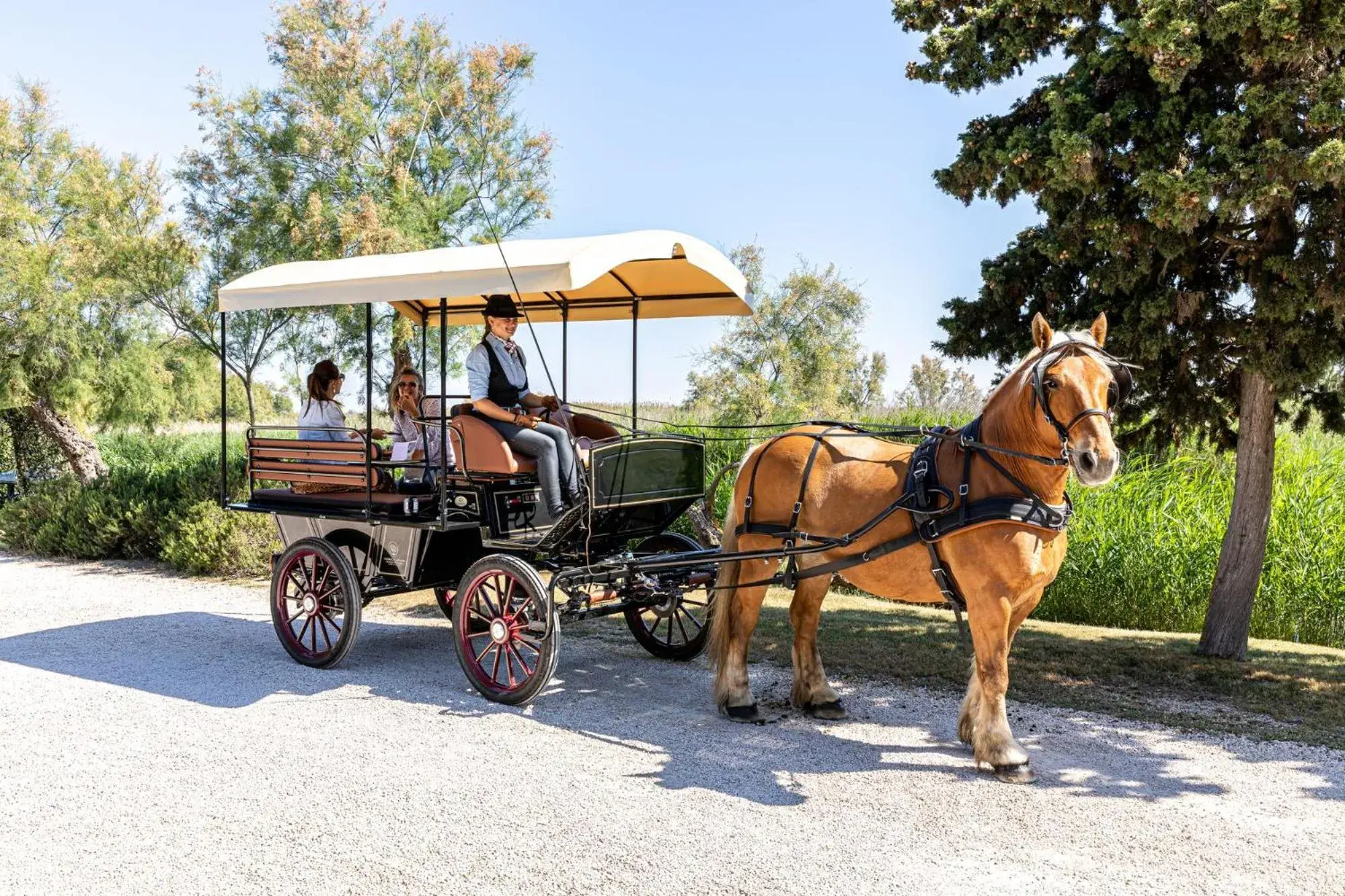 Activities in Auberge Cavaliere du Pont des Bannes