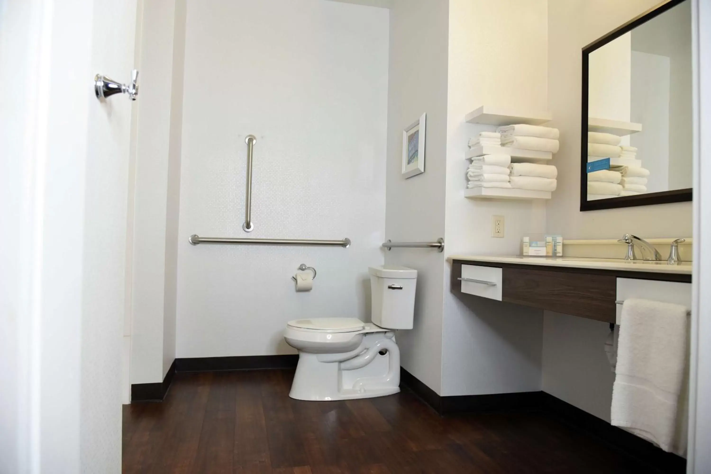 Bathroom in Hampton Inn Kalamazoo