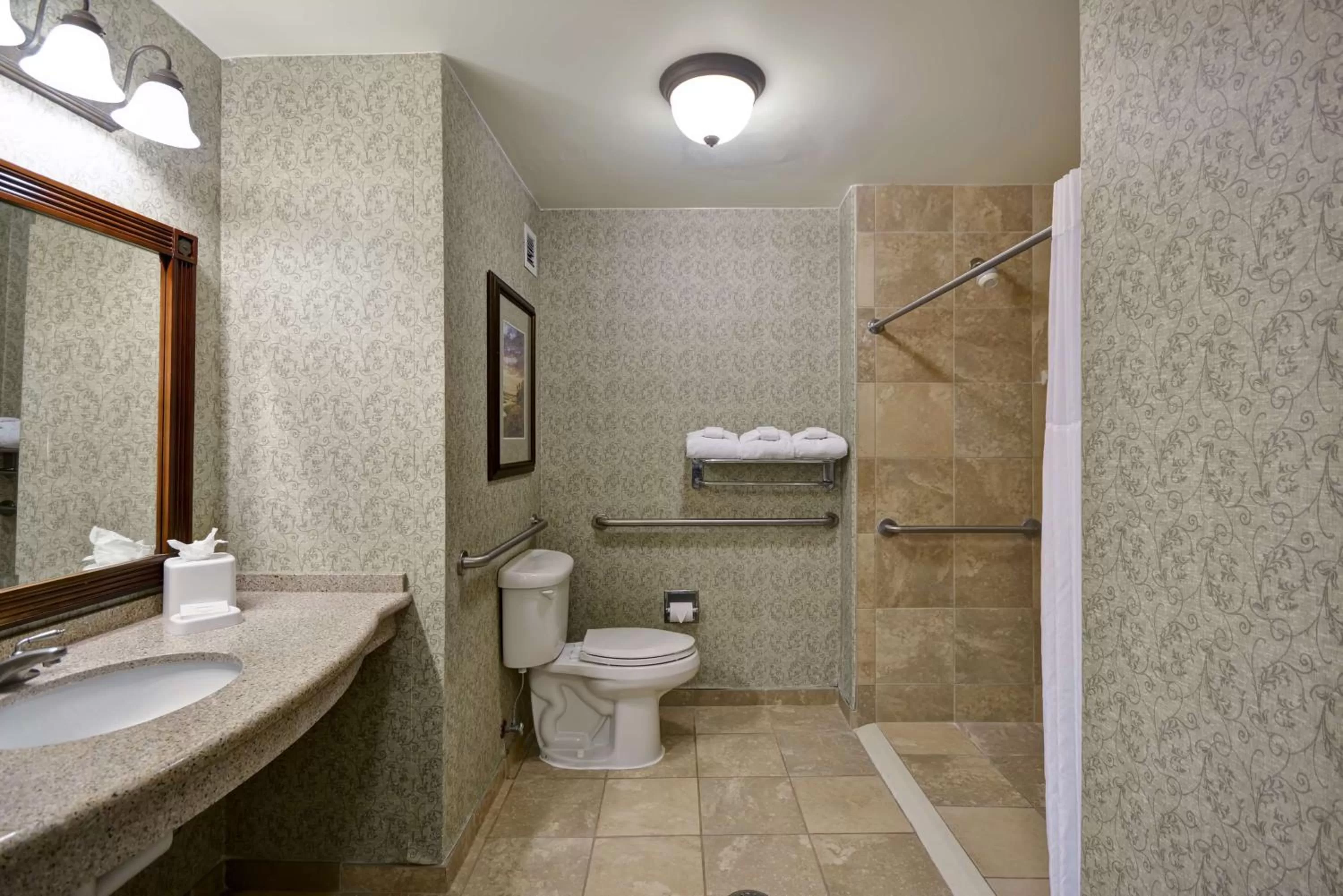 Bathroom in Hampton Inn & Suites Savannah Historic District