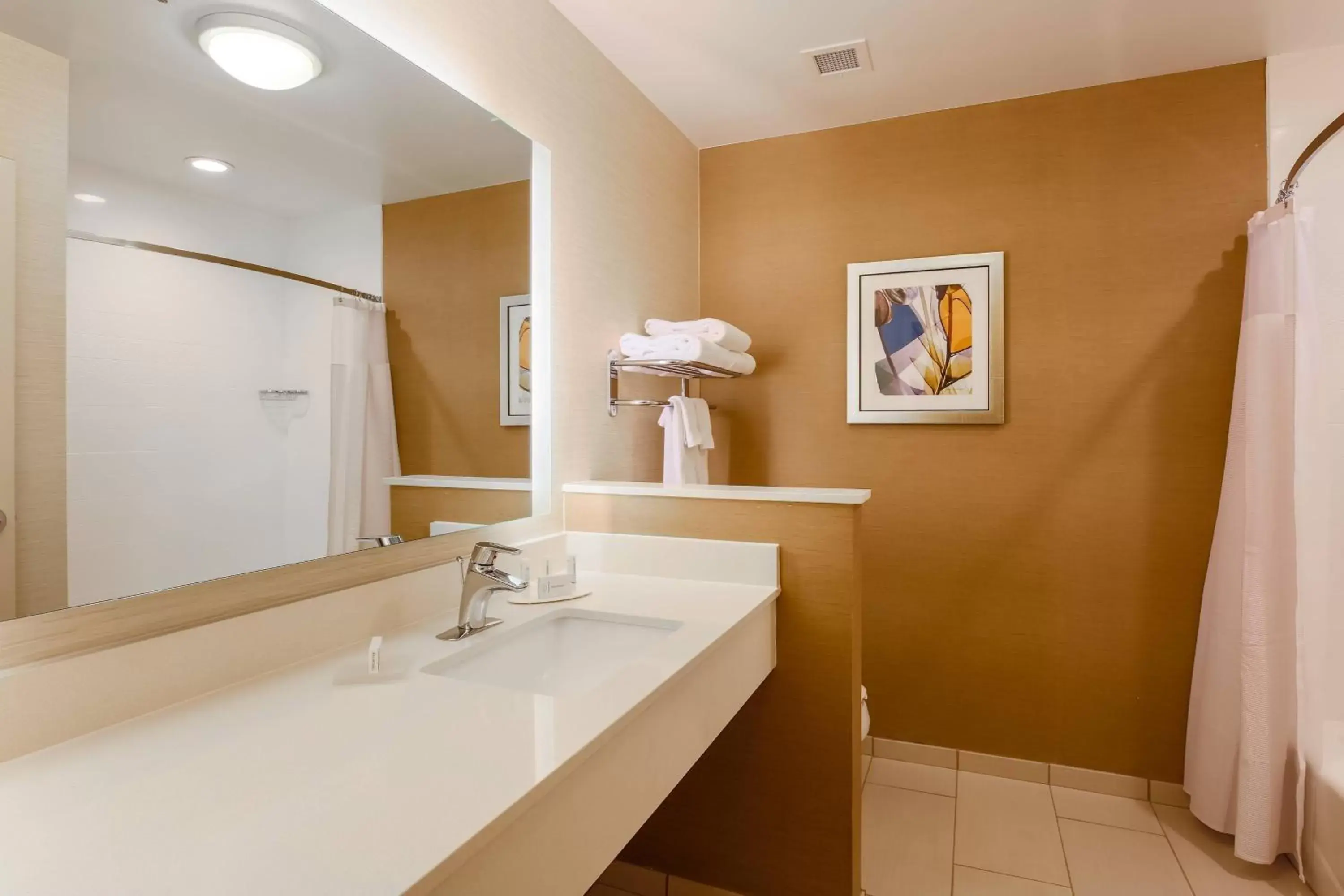 Bathroom in Fairfield Inn & Suites by Marriott Alexandria