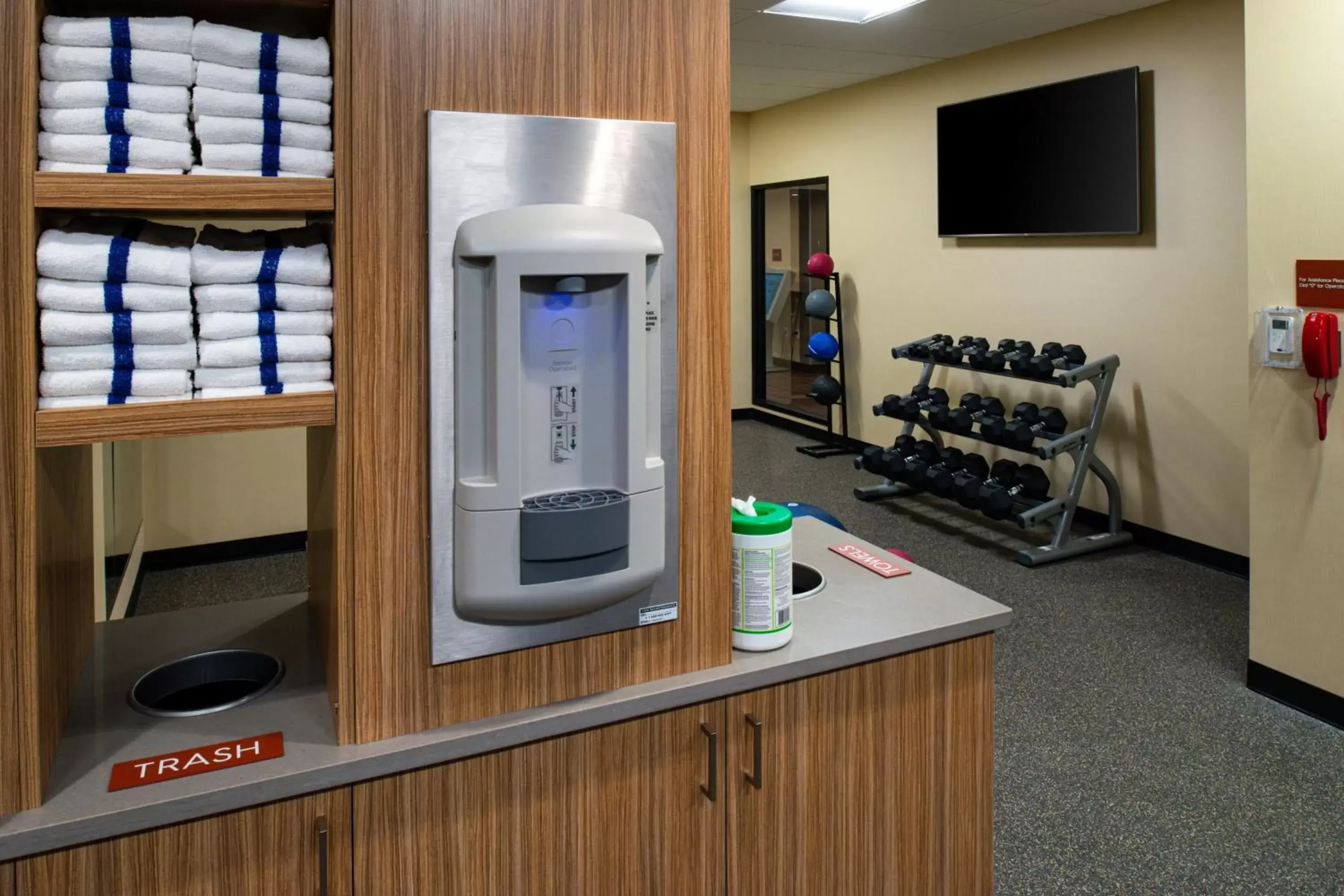 Fitness centre/facilities in TownePlace Suites by Marriott Detroit Belleville