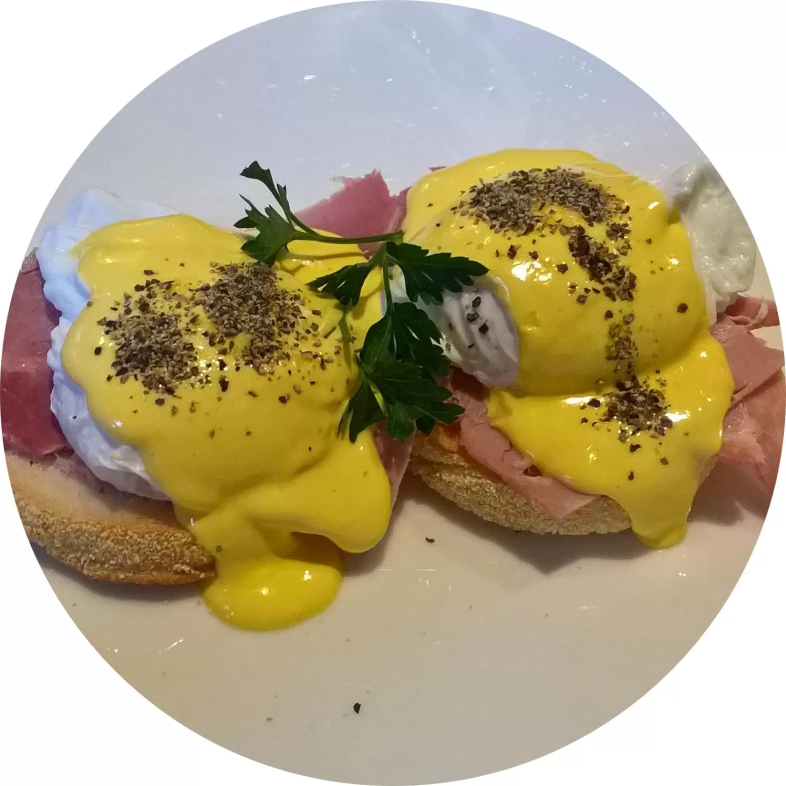 Breakfast in Plas Tan-Yr-Allt Historic Country House B&B