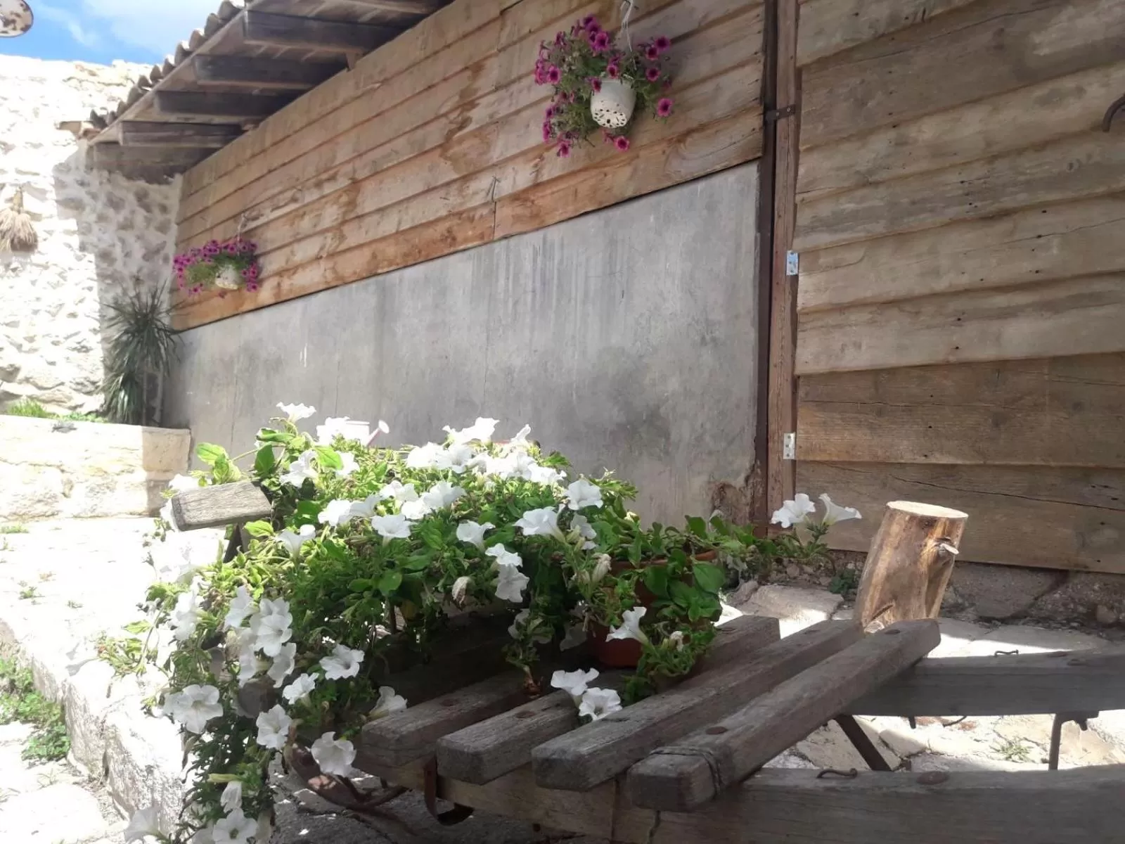 Patio in Le Mangiatoie del Cavaliere