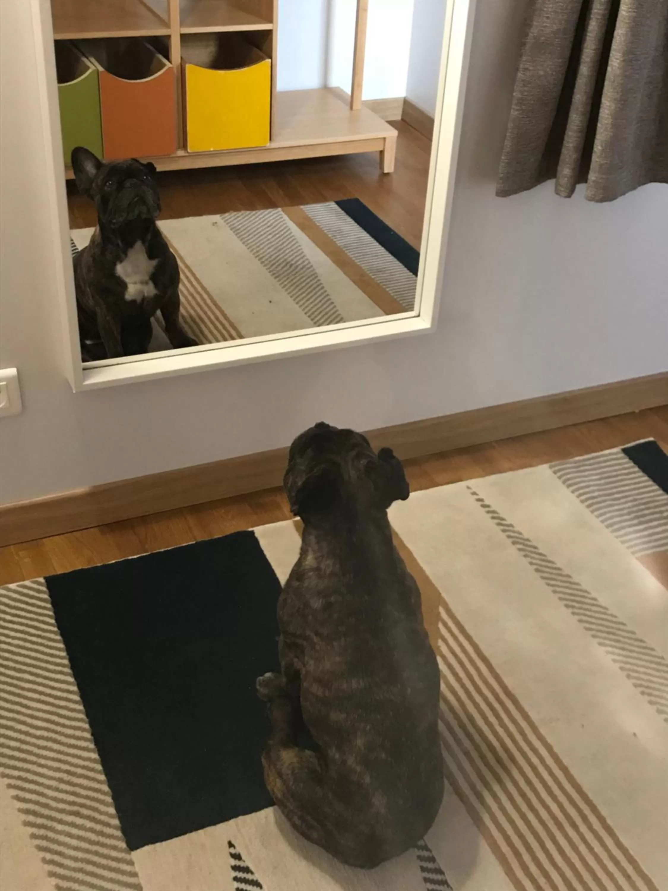 Pets in LE DOMAINE DE GORNETON