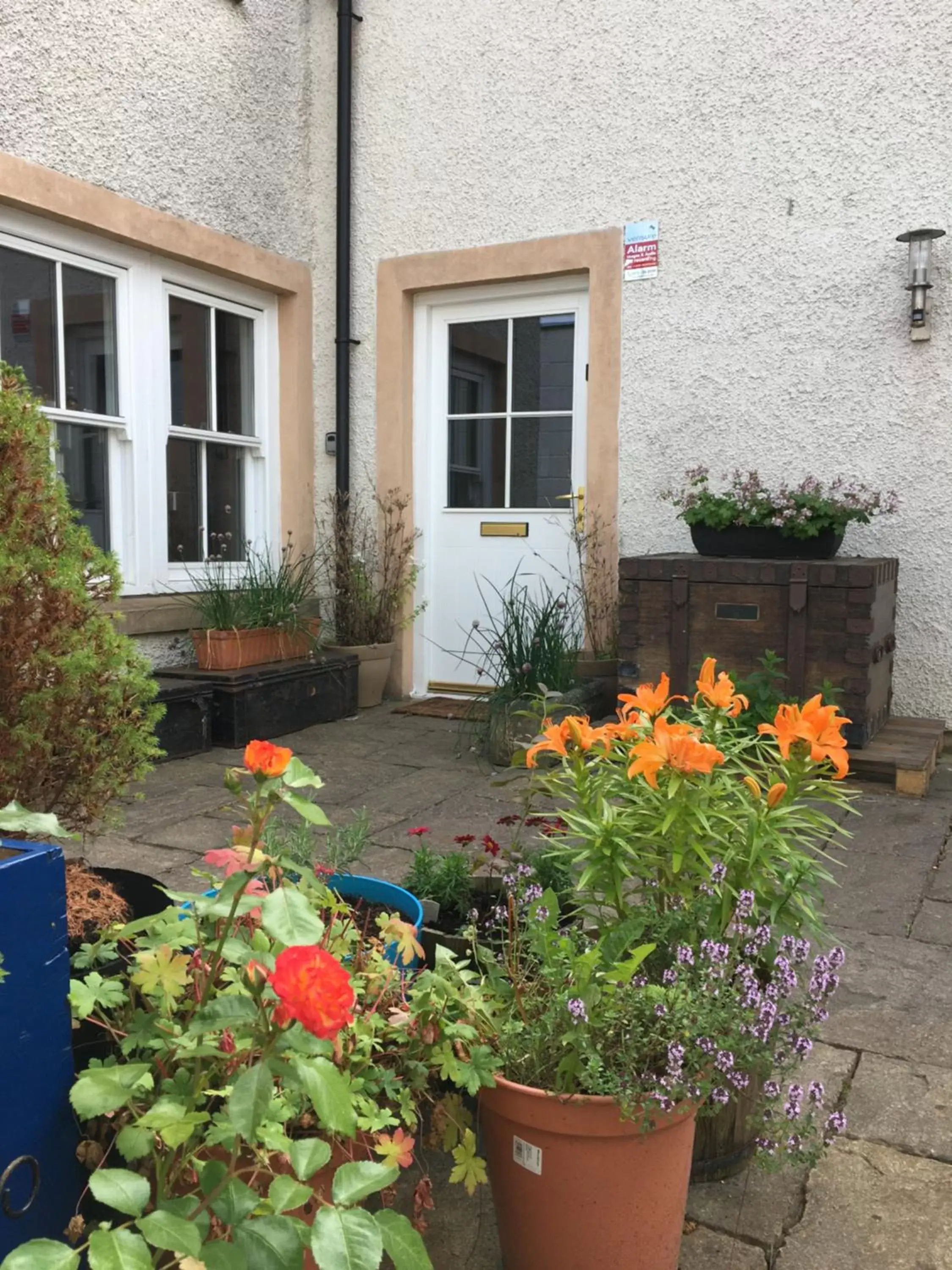 Garden, Property Building in B&B at No 4