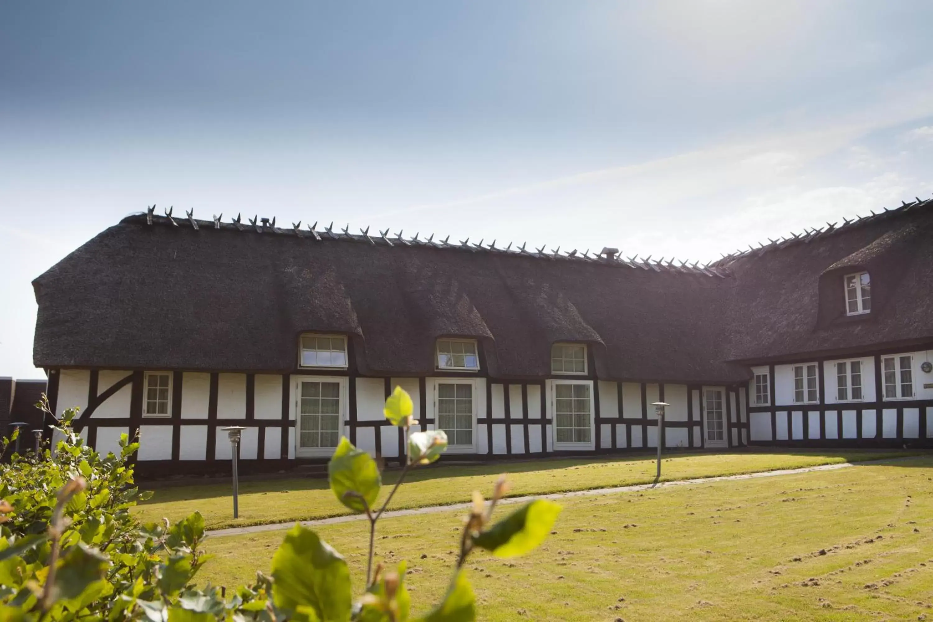 Natural landscape, Property Building in Helnan Marselis Hotel