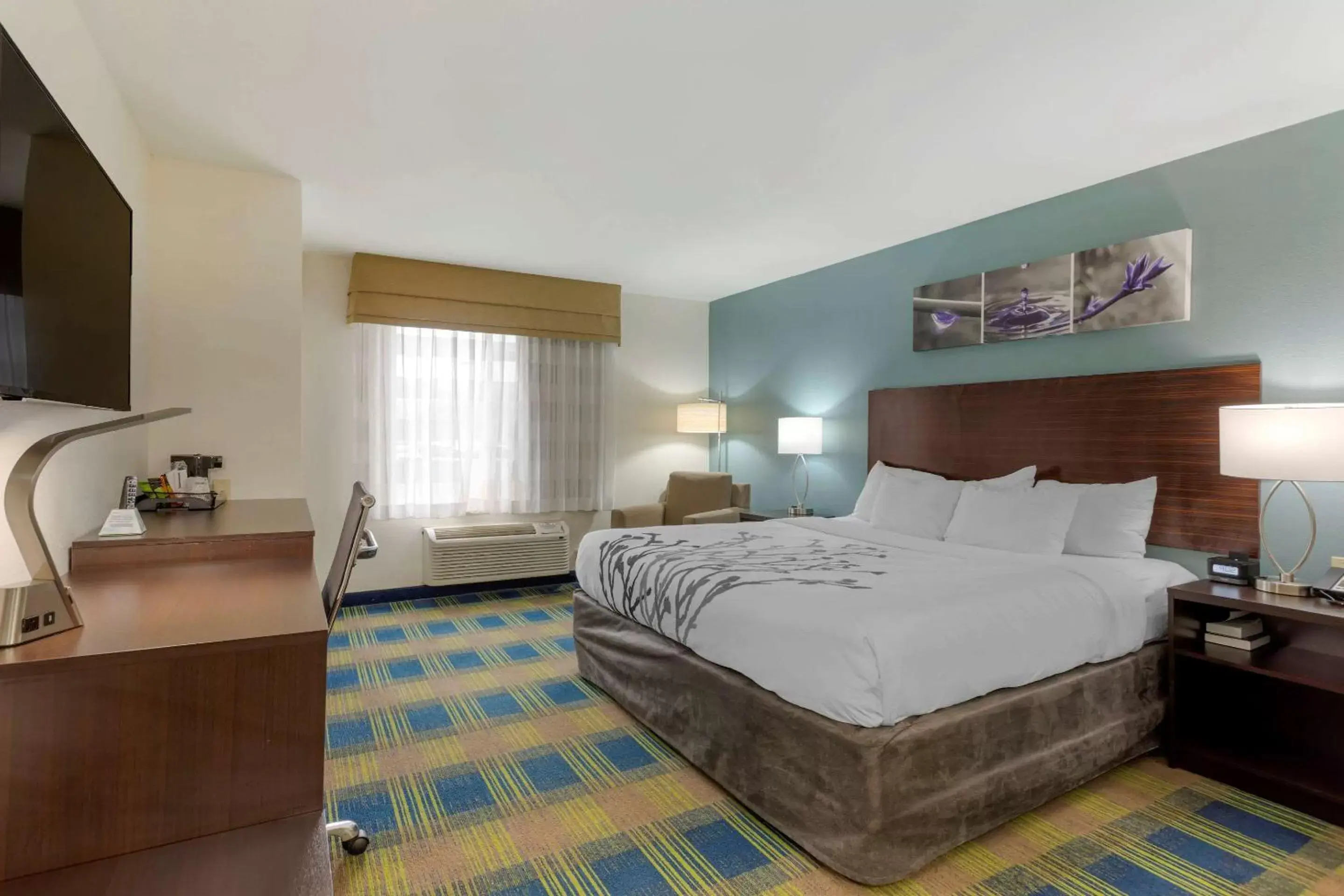 Photo of the whole room, Bed in Sleep Inn & Suites Smyrna – Nashville