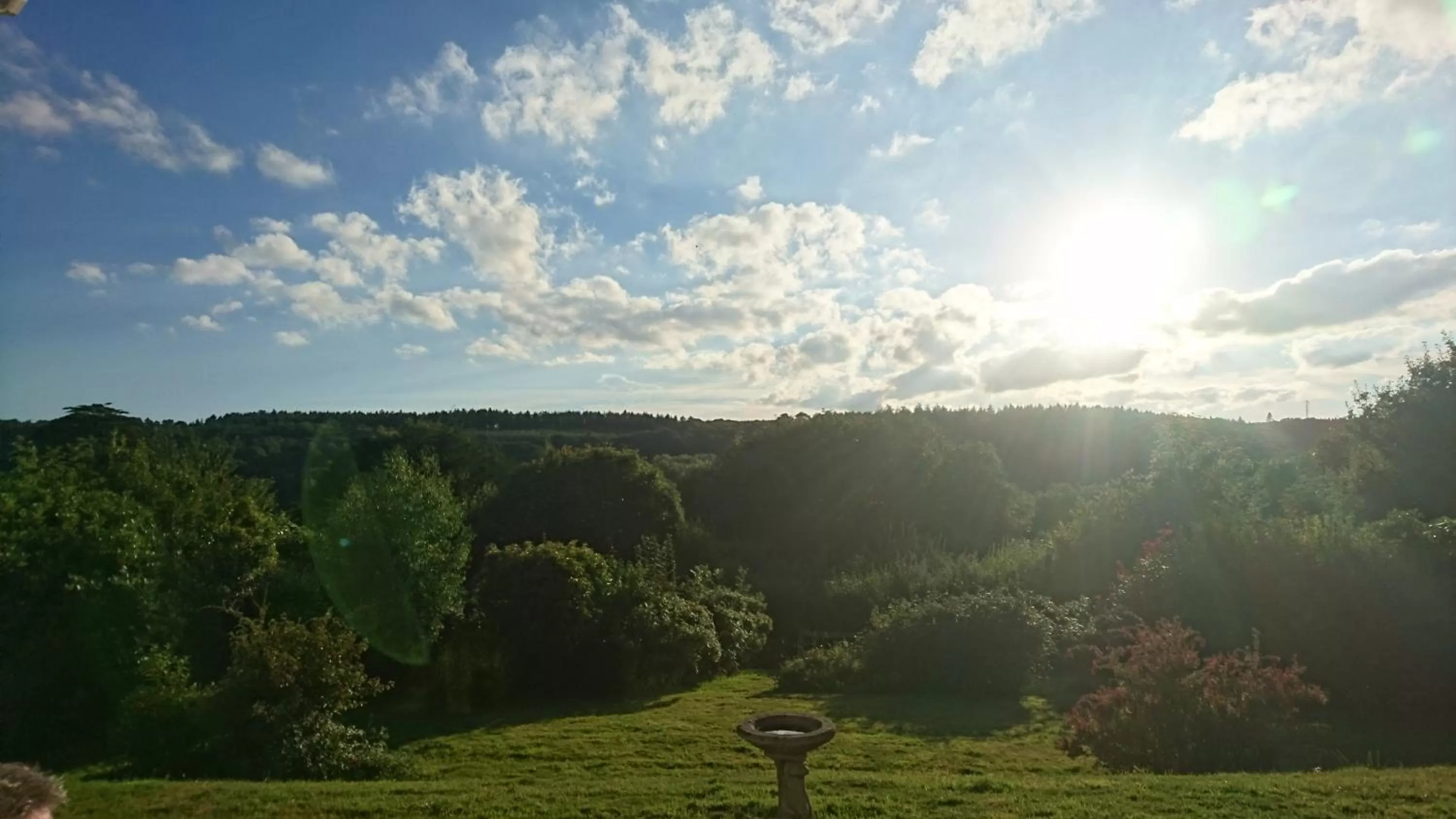 Natural landscape in Nettle Bank