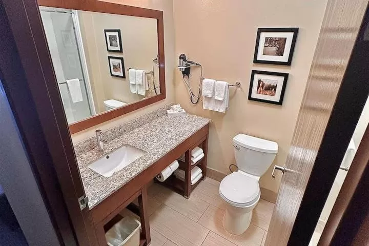 Bathroom in Baymont by Wyndham Phoenix North