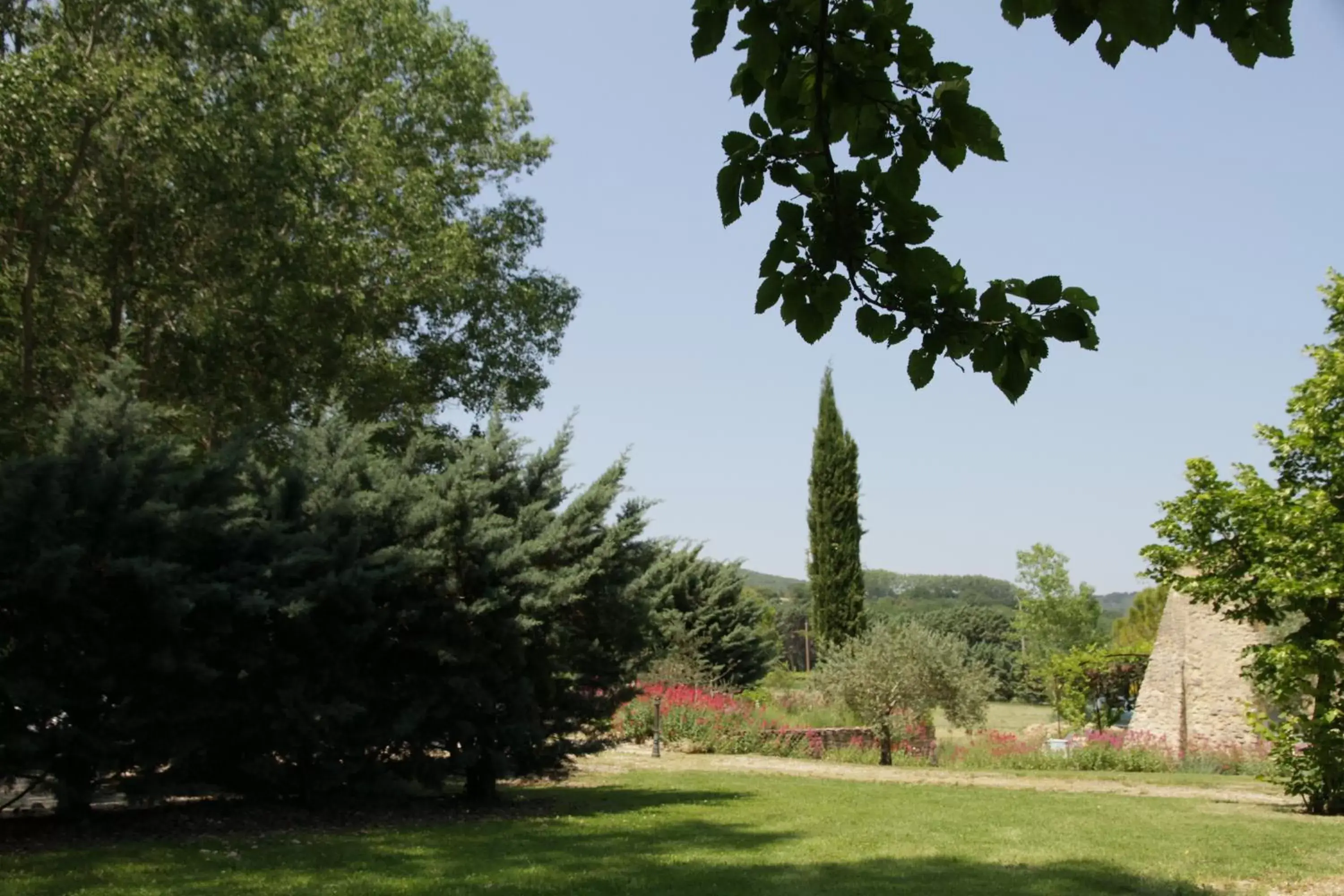 Garden view, Garden in Chambres d'Hôtes Aux Tournesols