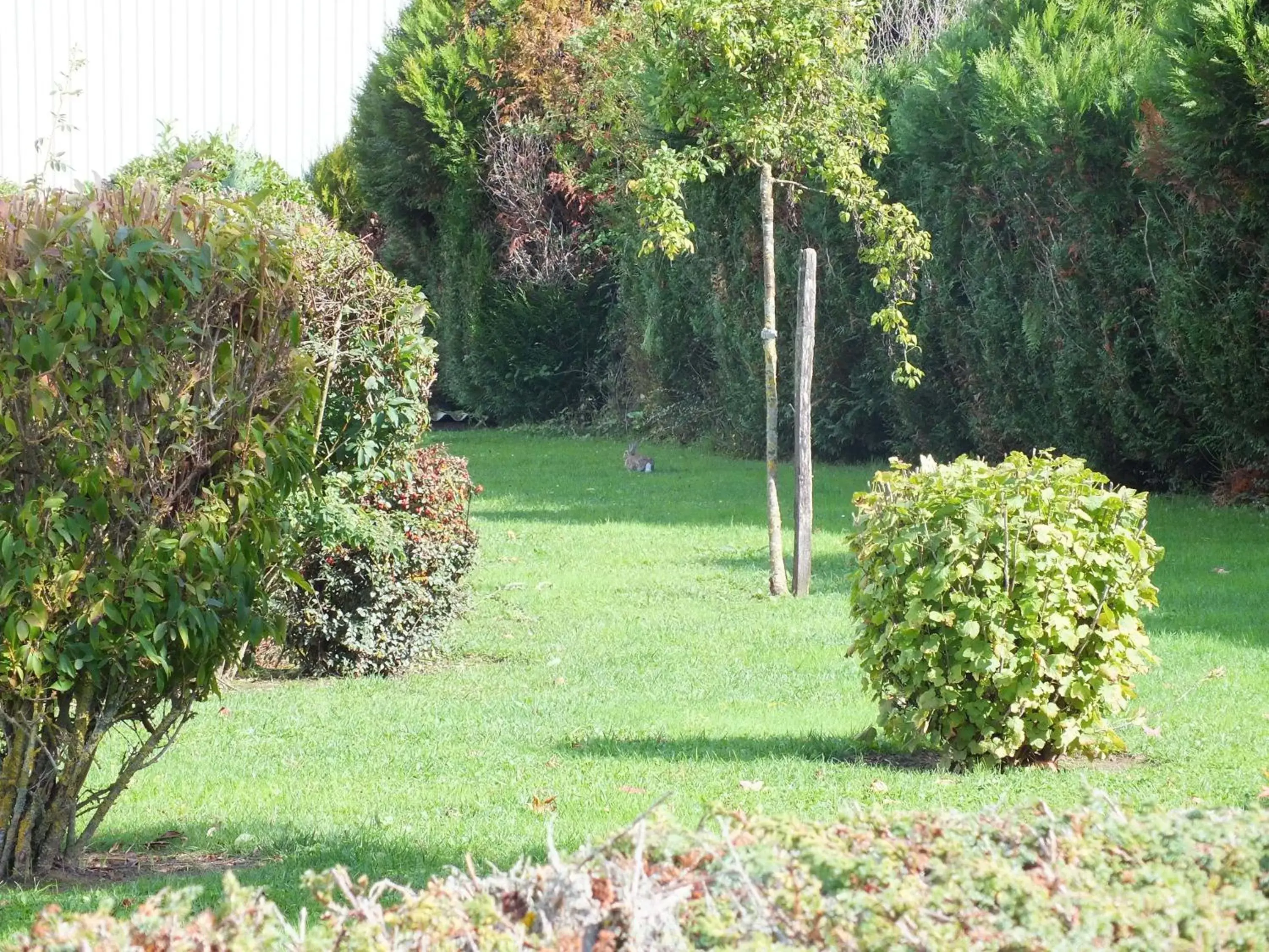 Area and facilities, Garden in ibis Styles Gien