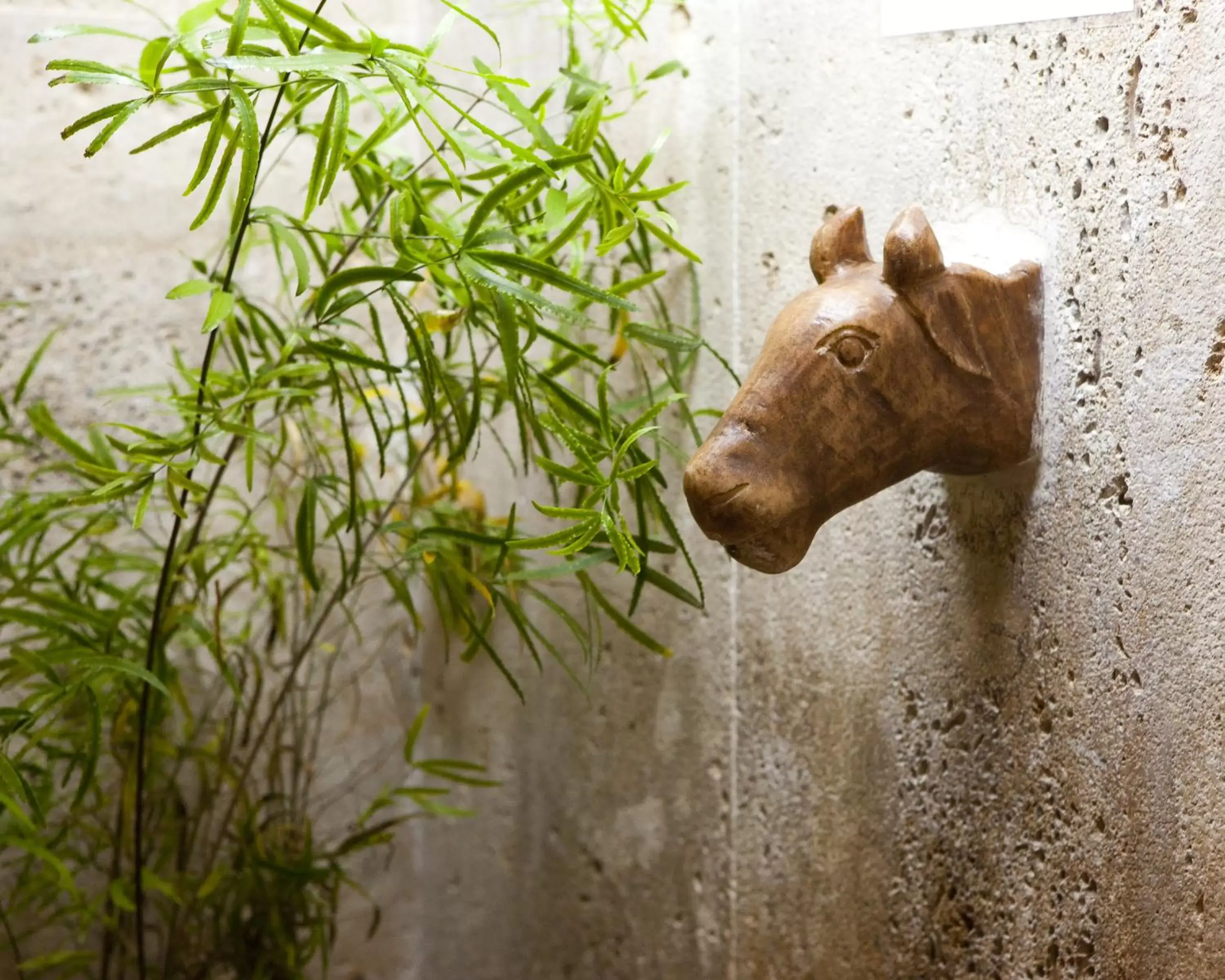 Lobby or reception, Other Animals in Hotel Boutique La Morada de Juan de Vargas