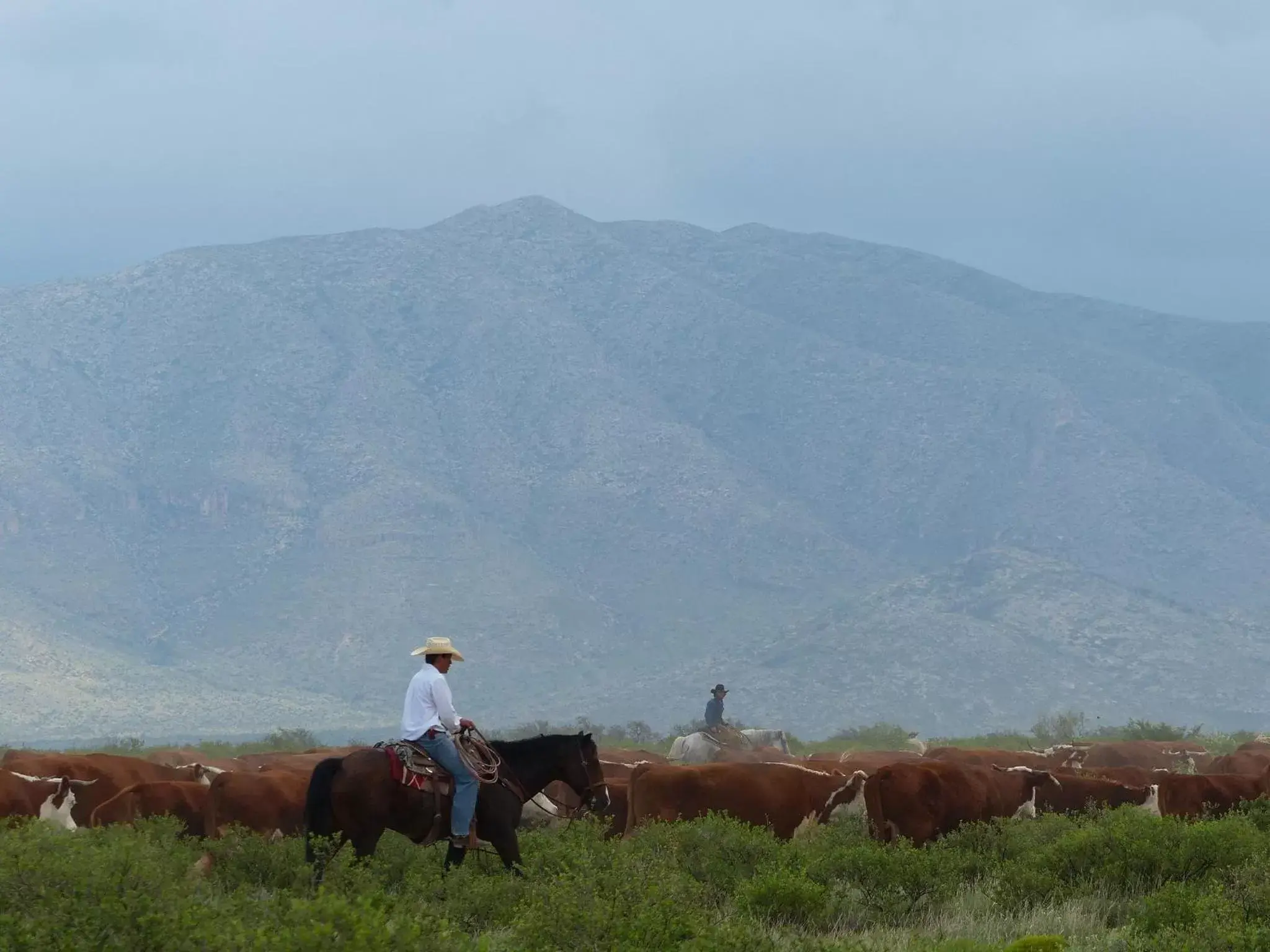 Spring, Horseback Riding in Hotel Parker at Quarter Circle 7