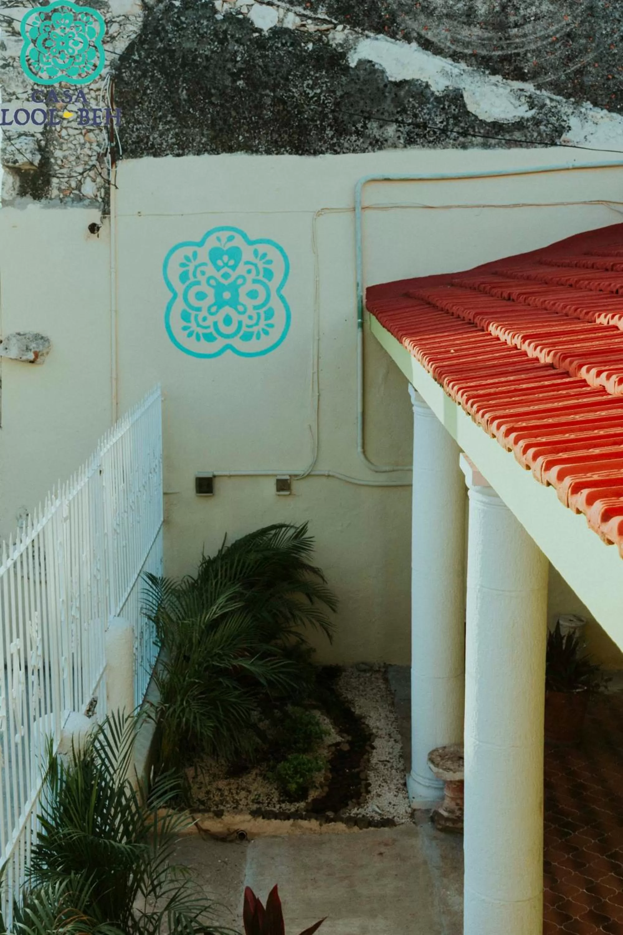 Garden view in Casa Lool Beh