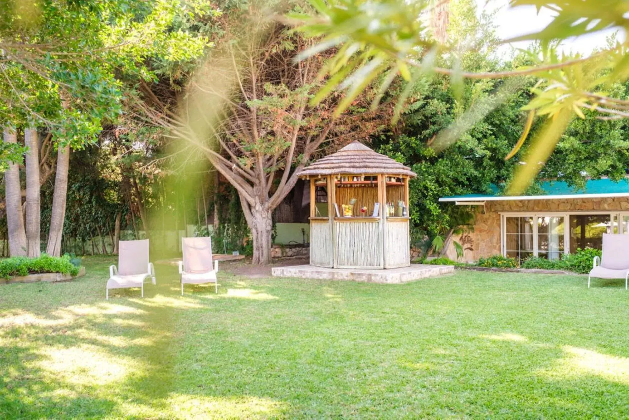 Garden in Hotel Agua Beach