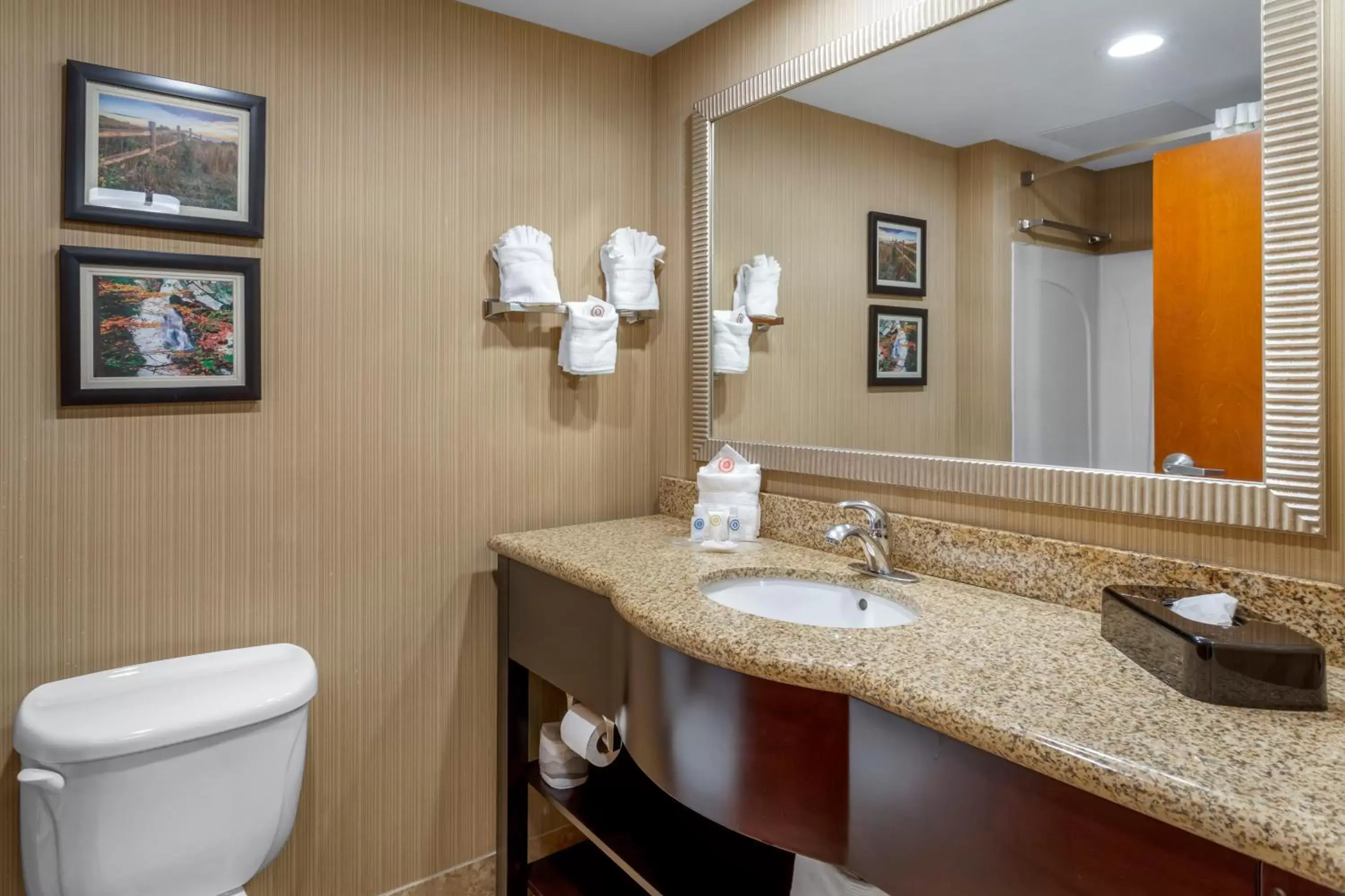 Bathroom in Comfort Suites North Knoxville