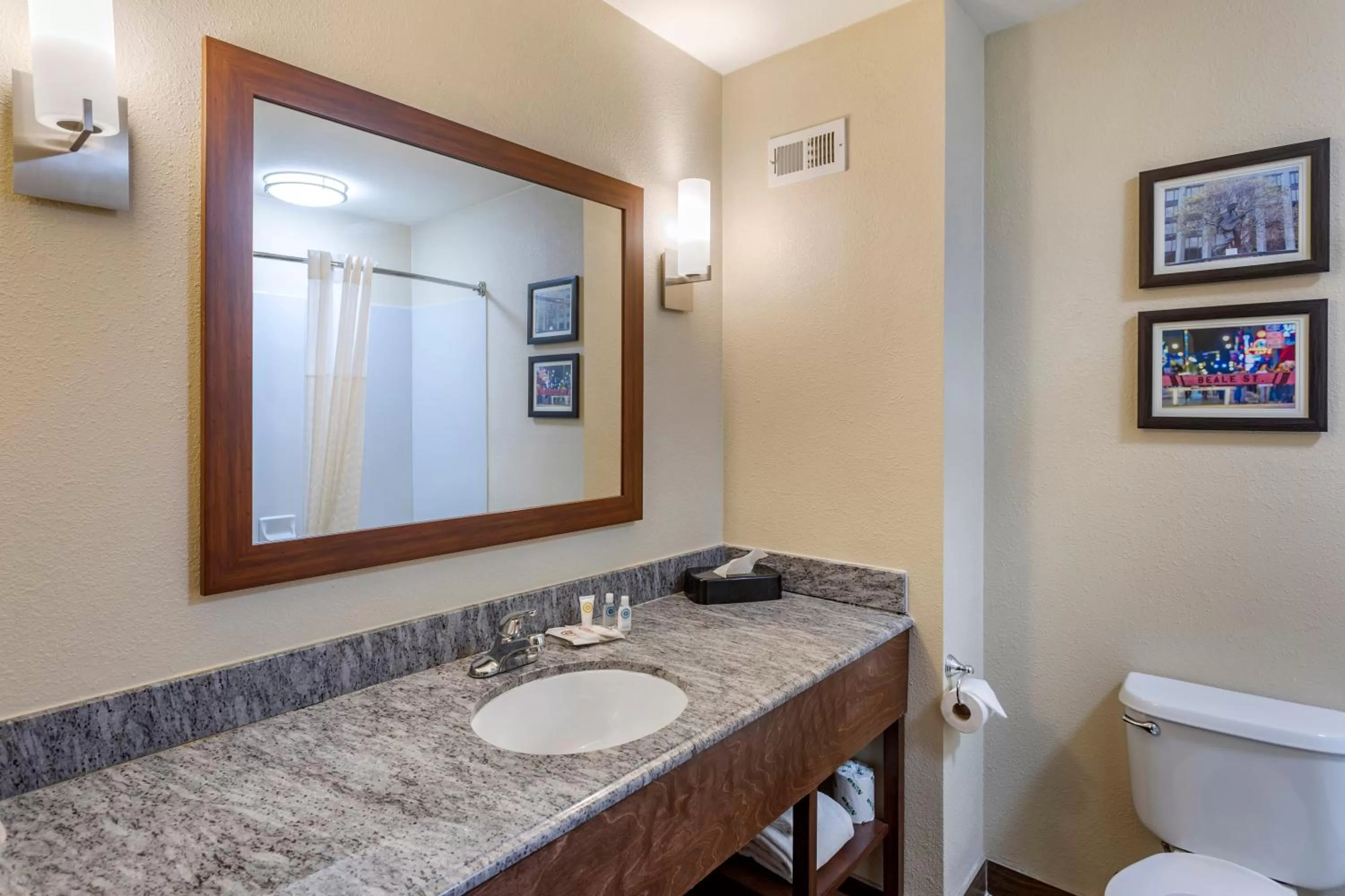 Bathroom in Comfort Inn & Suites Atoka-Millington