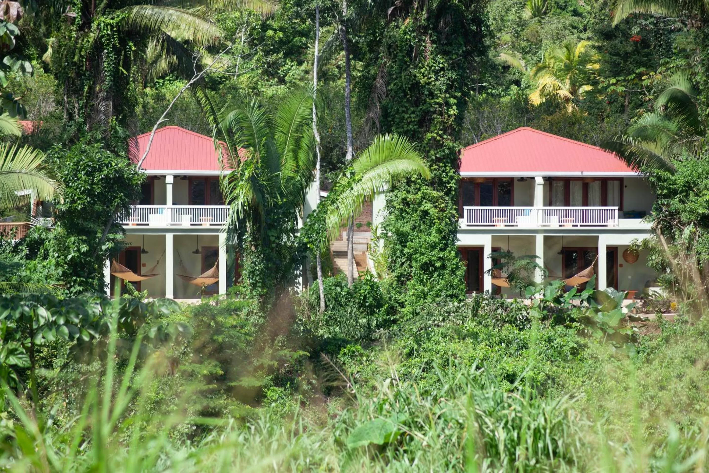 Natural landscape in Sleeping Giant Rainforest Lodge