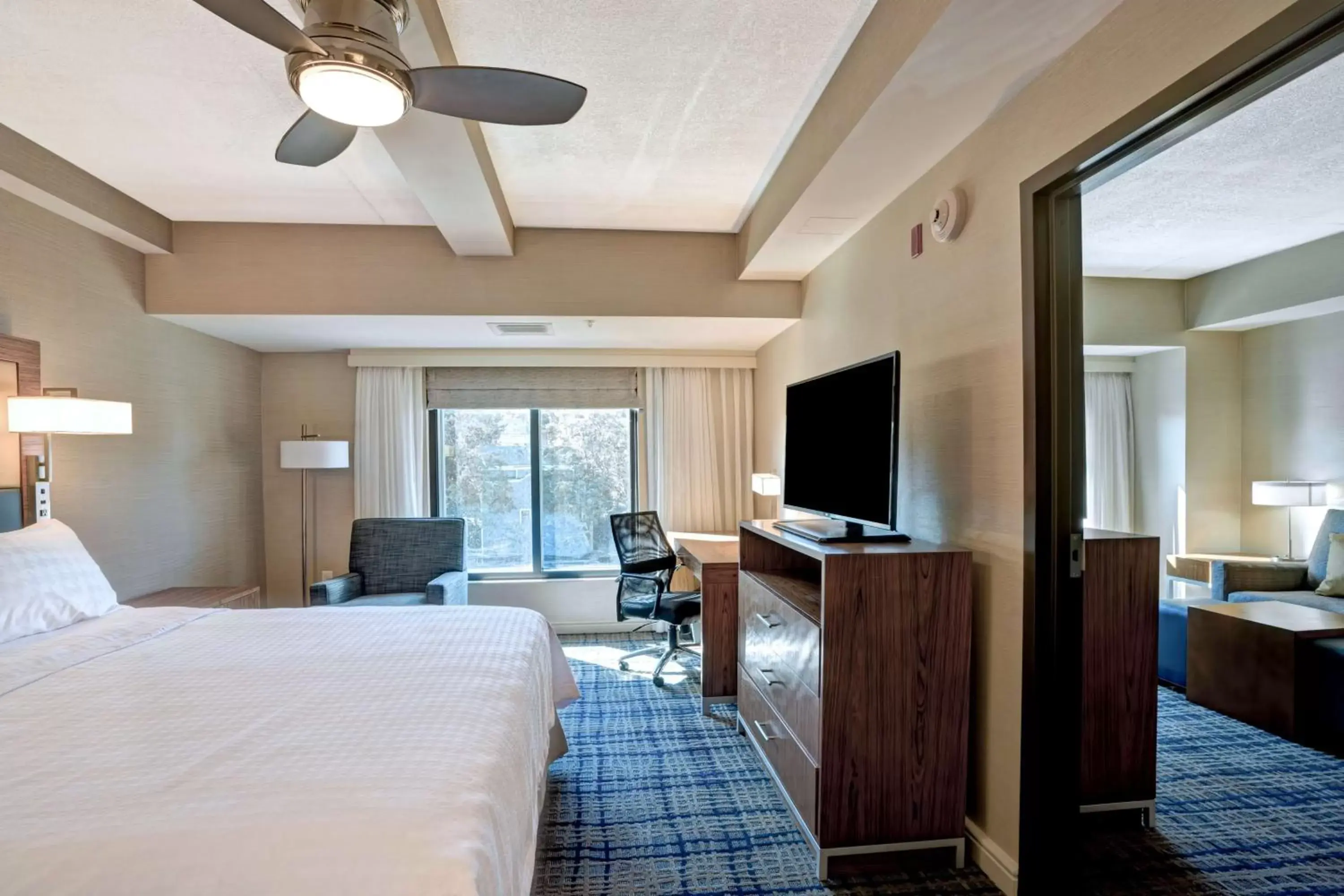 Bed, TV/Entertainment Center in Homewood Suites by Hilton Boston Brookline-Longwood Medical