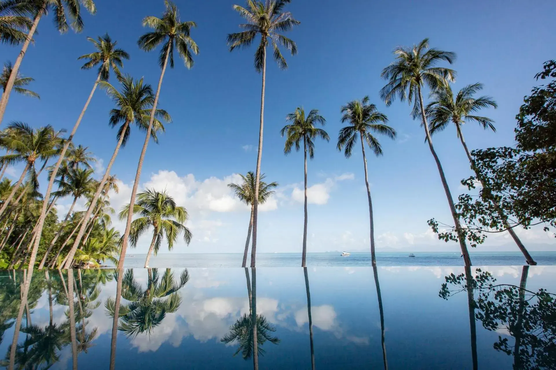 Swimming pool in Four Seasons Resort Koh Samui